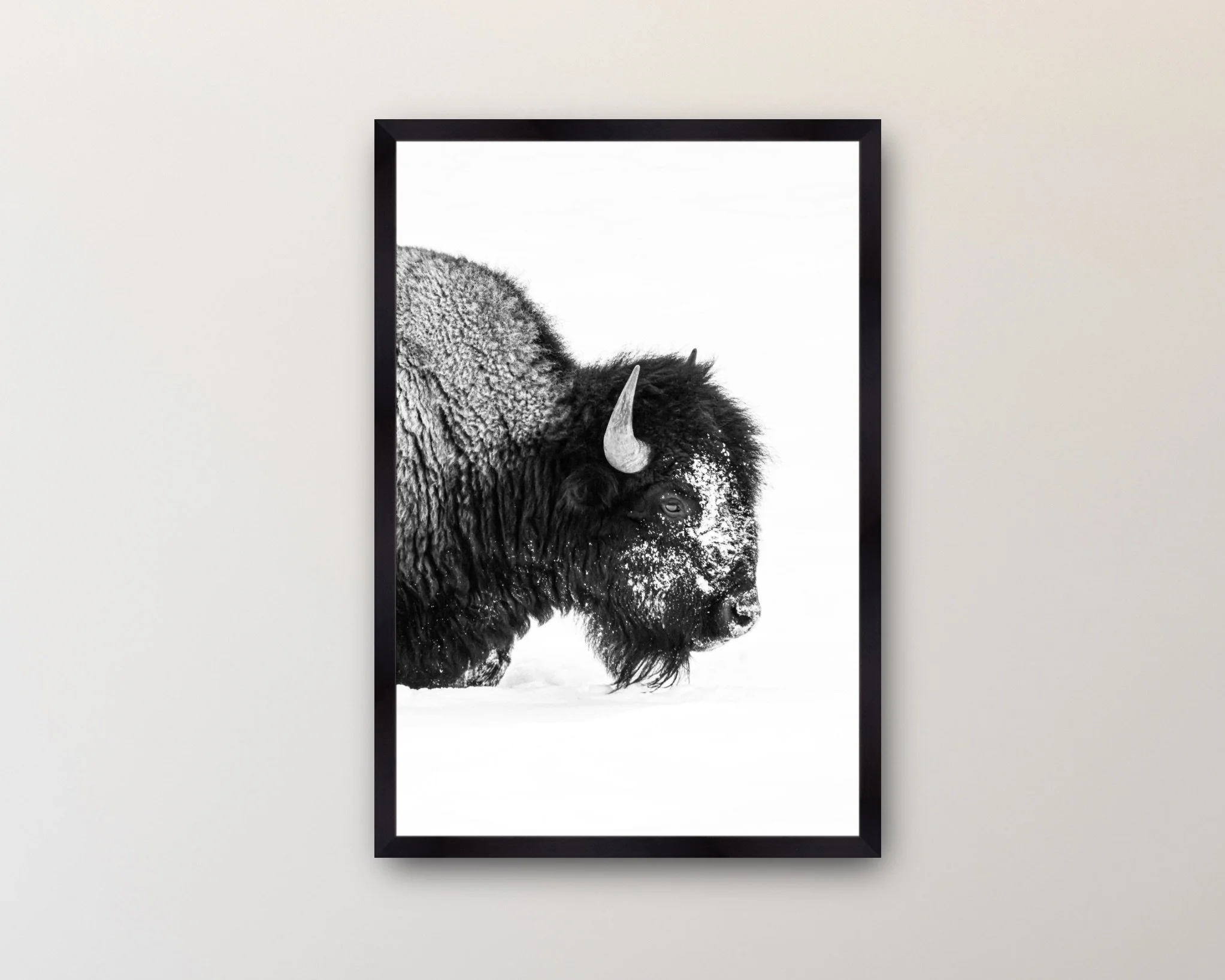 Image 2-12-26 at 4.41 PM.jpeg