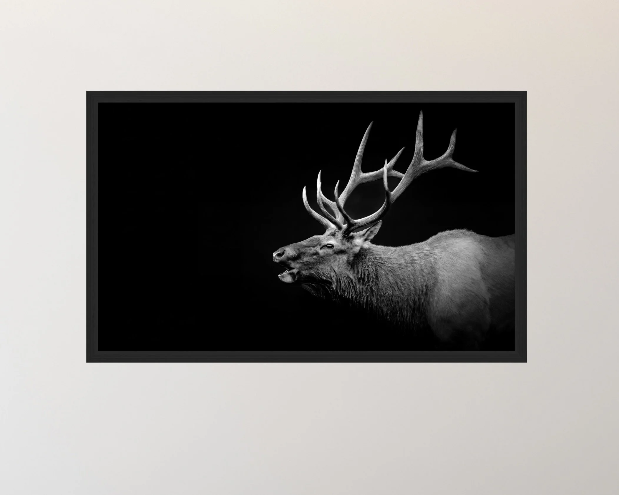 Screenshot 2026-03-27 at 4.02.30 PM.jpeg