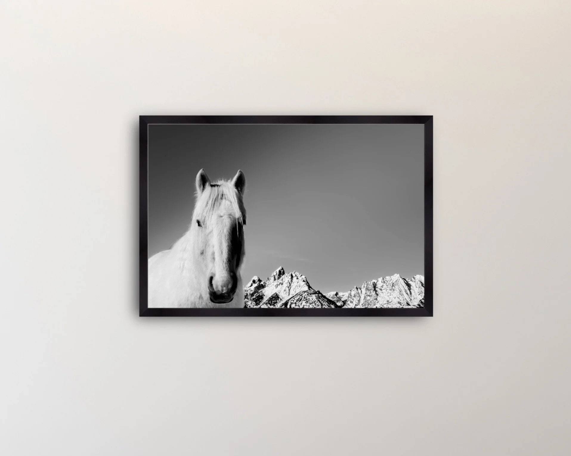 Image 2-12-26 at 5.57 PM.jpeg