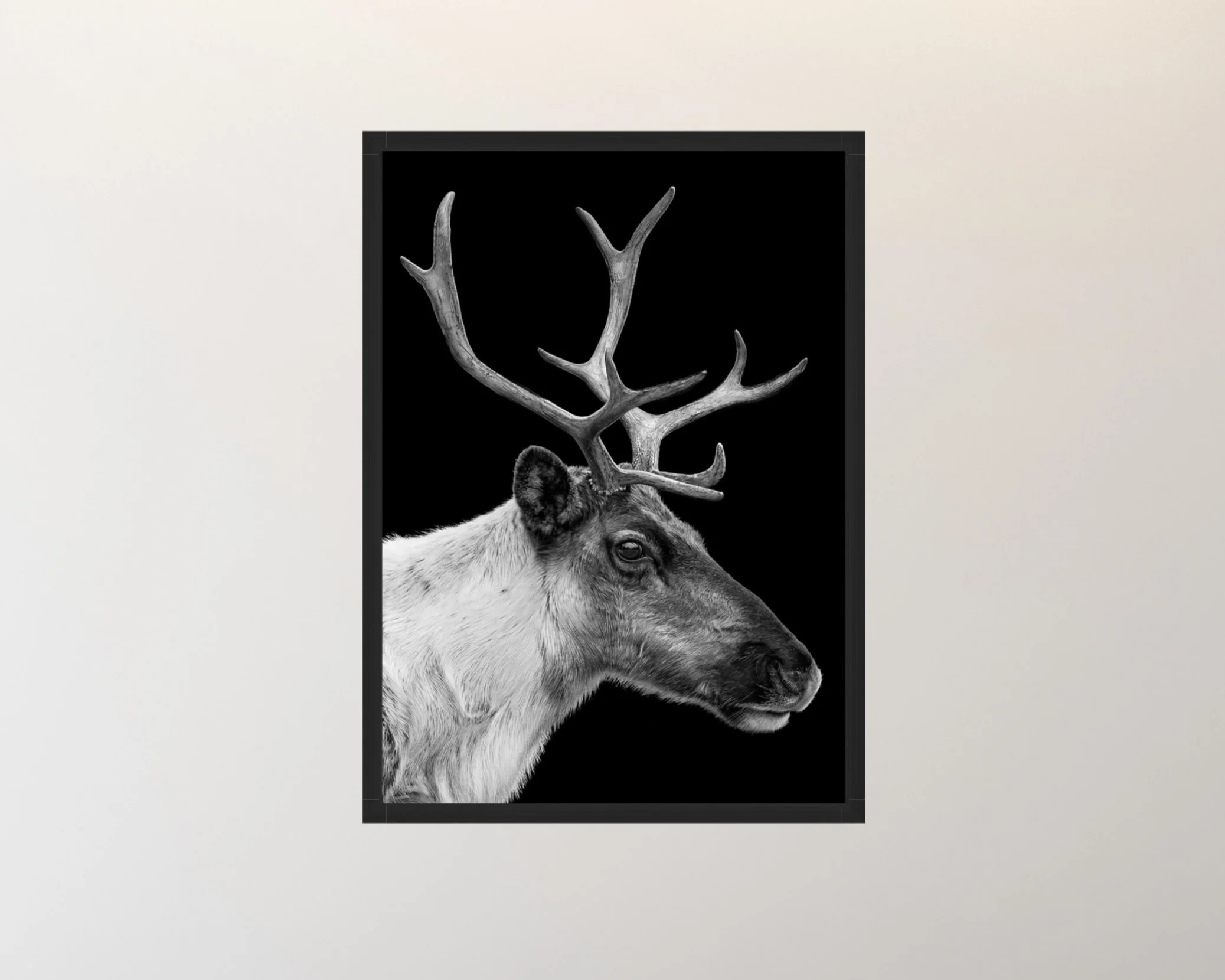 Screenshot 2026-03-28 at 1.02.05 AM.jpeg