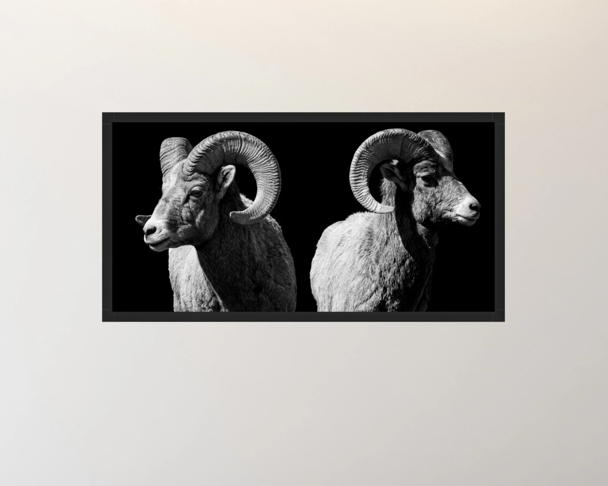 Screenshot 2026-03-27 at 6.02.19 PM.jpeg