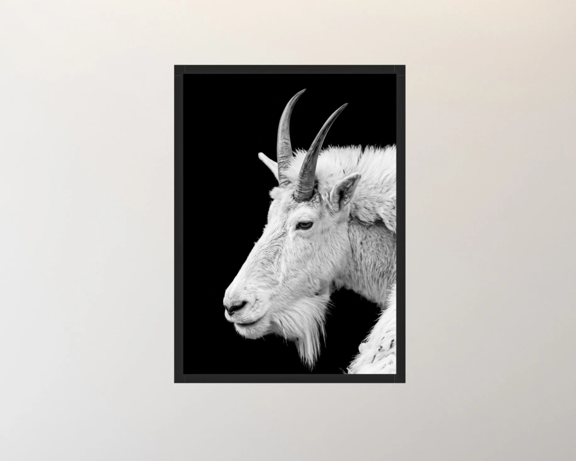 Screenshot 2026-03-27 at 6.09.13 PM.jpeg