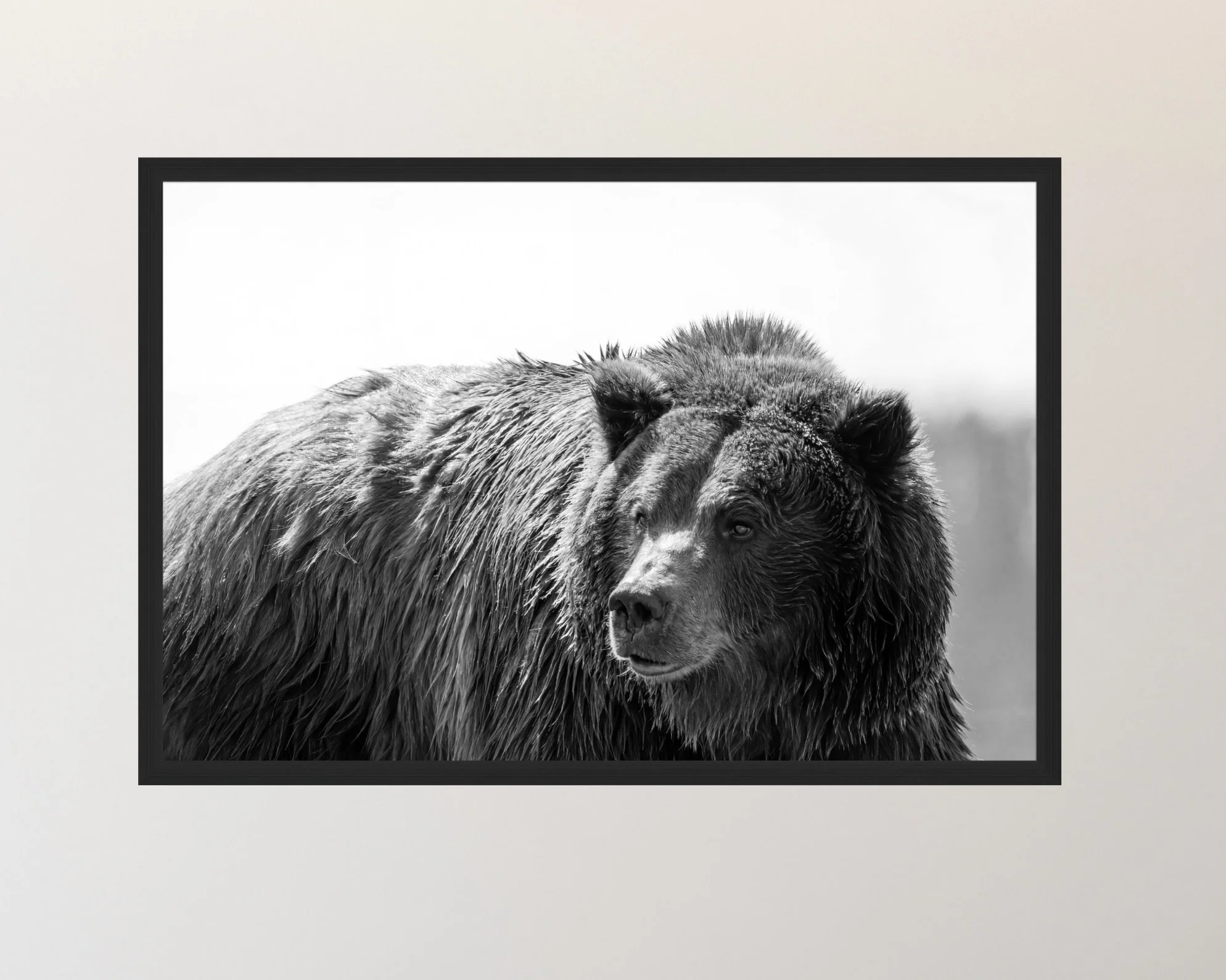 Screenshot 2026-03-27 at 5.04.08 PM.jpeg