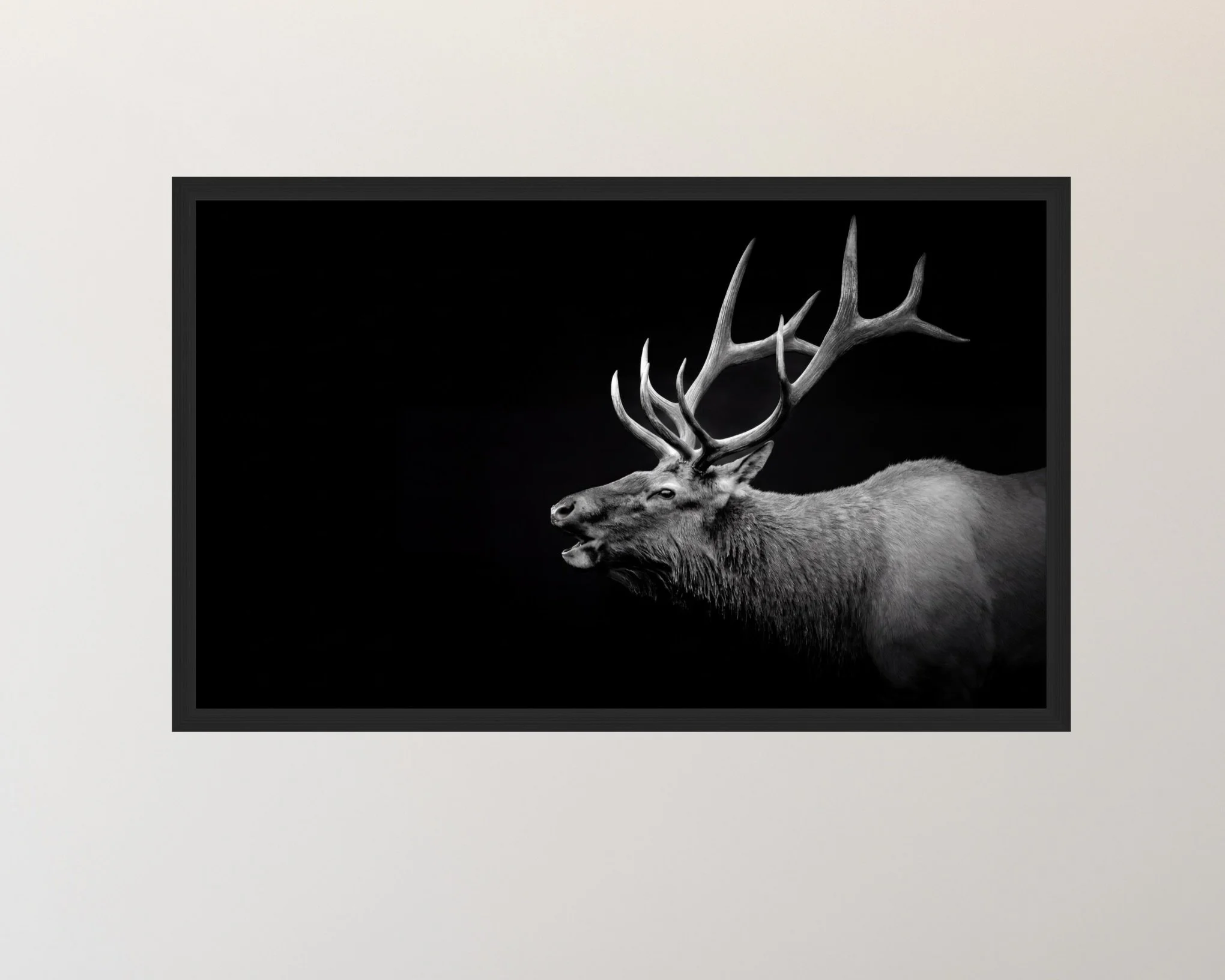 Screenshot 2026-03-08 at 12.41.01 AM.jpeg