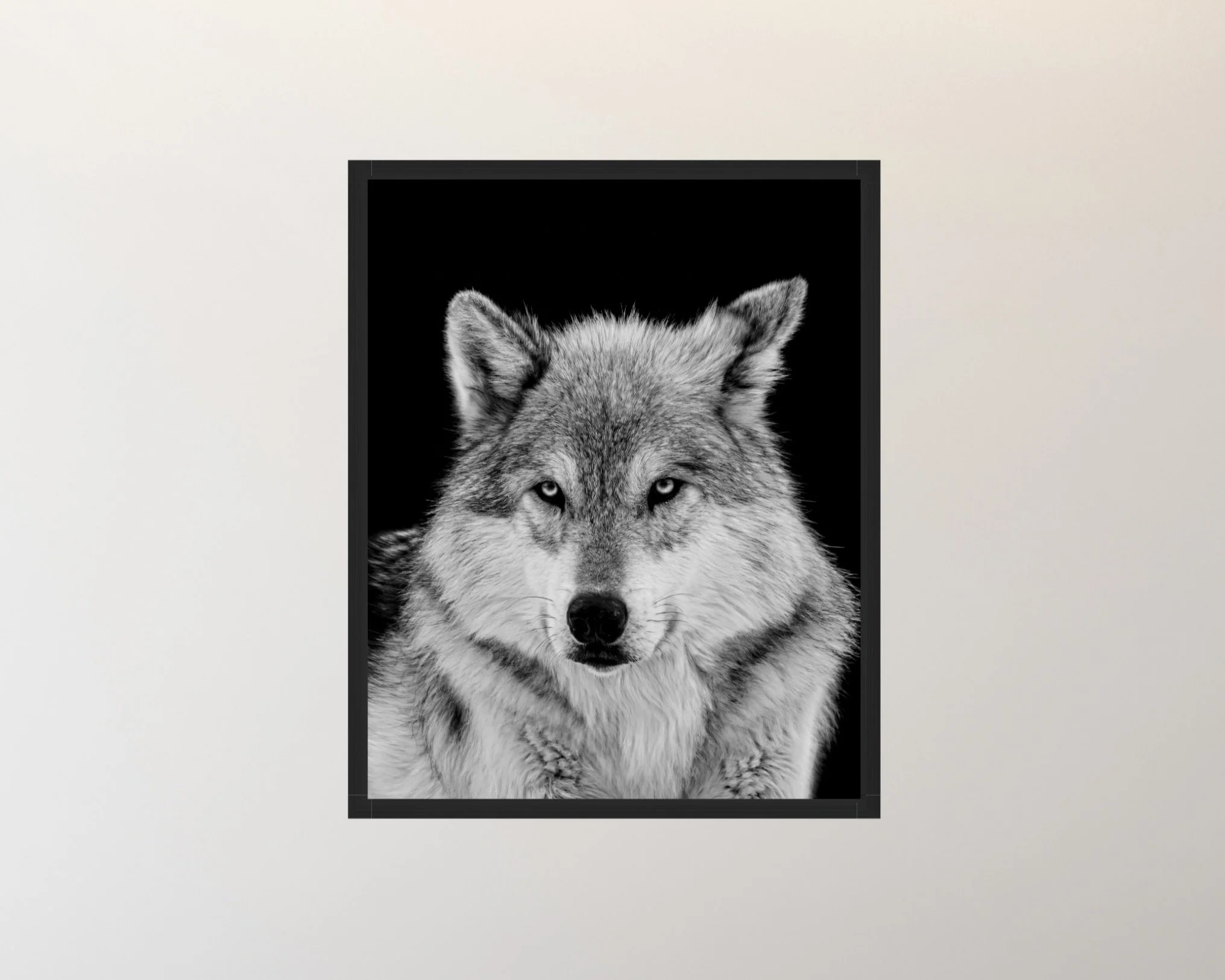 Screenshot 2026-03-27 at 4.59.42 PM.jpeg