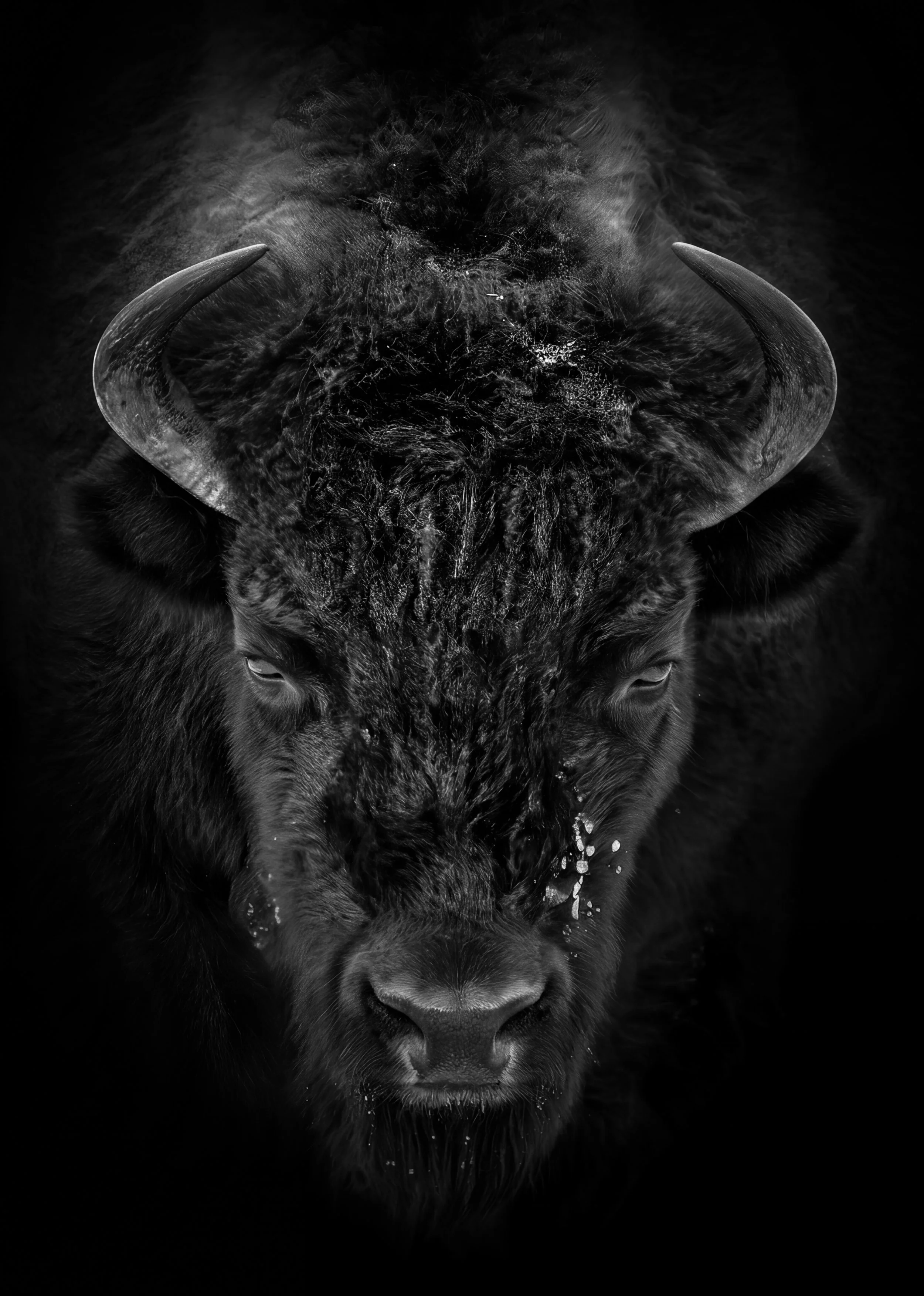 Generated Image March 26, 2026 - 10_38PM.jpg