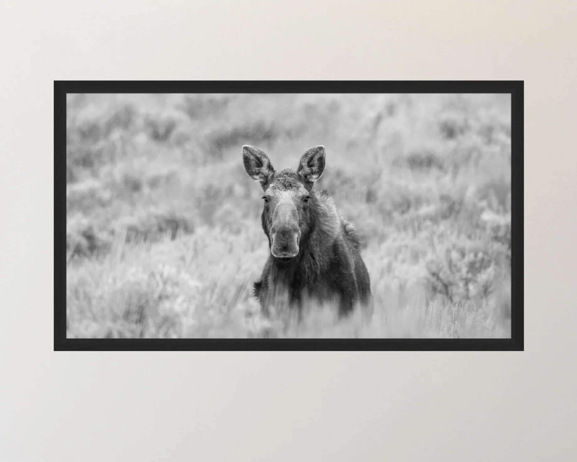 Screenshot 2026-03-10 at 2.49.08 AM.jpeg