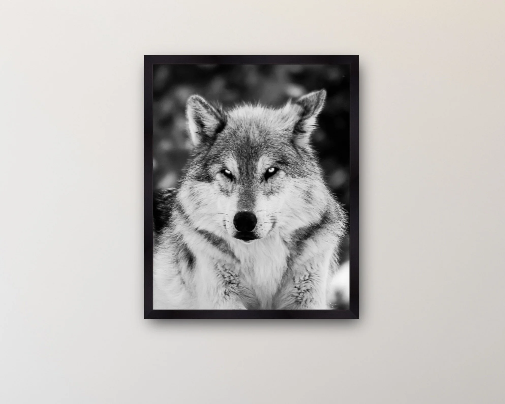 Image 2-13-26 at 5.34 PM.jpeg