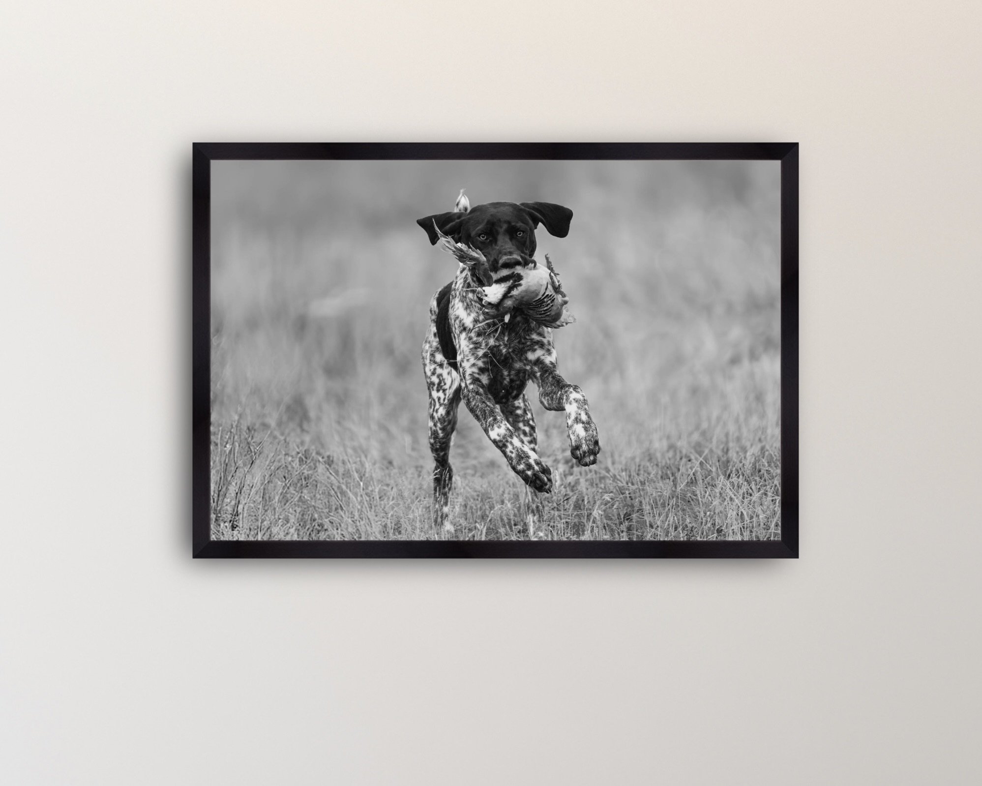 Image 2-15-26 at 5.38 PM.jpeg