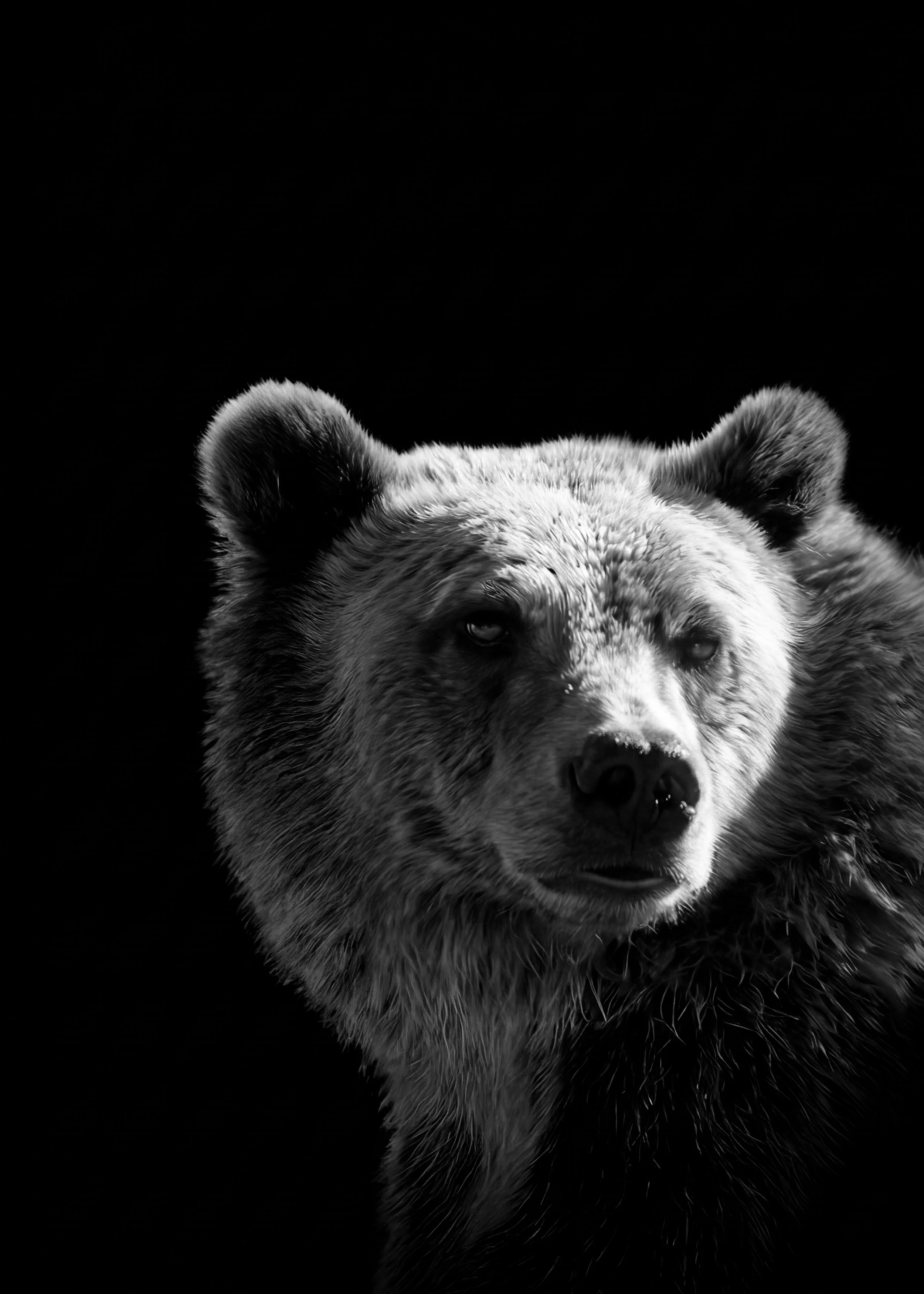 Generated Image April 12, 2026 - 1_19AM.jpg