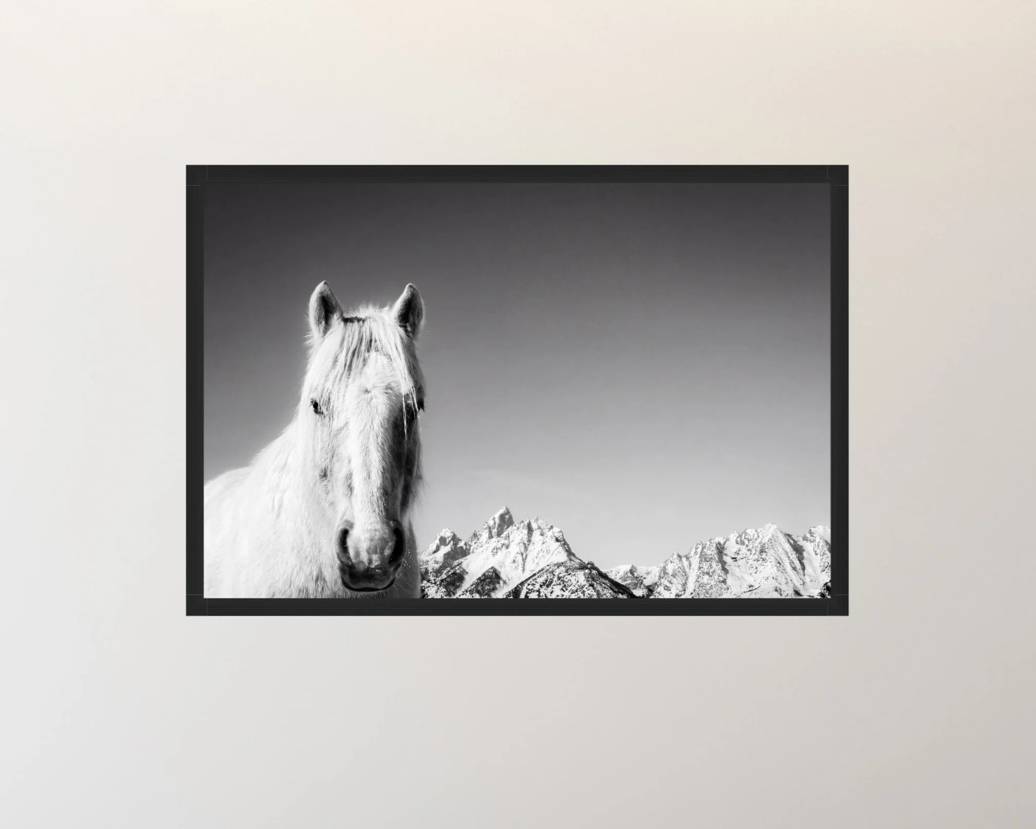 Screenshot 2026-03-27 at 6.12.37 PM.jpeg