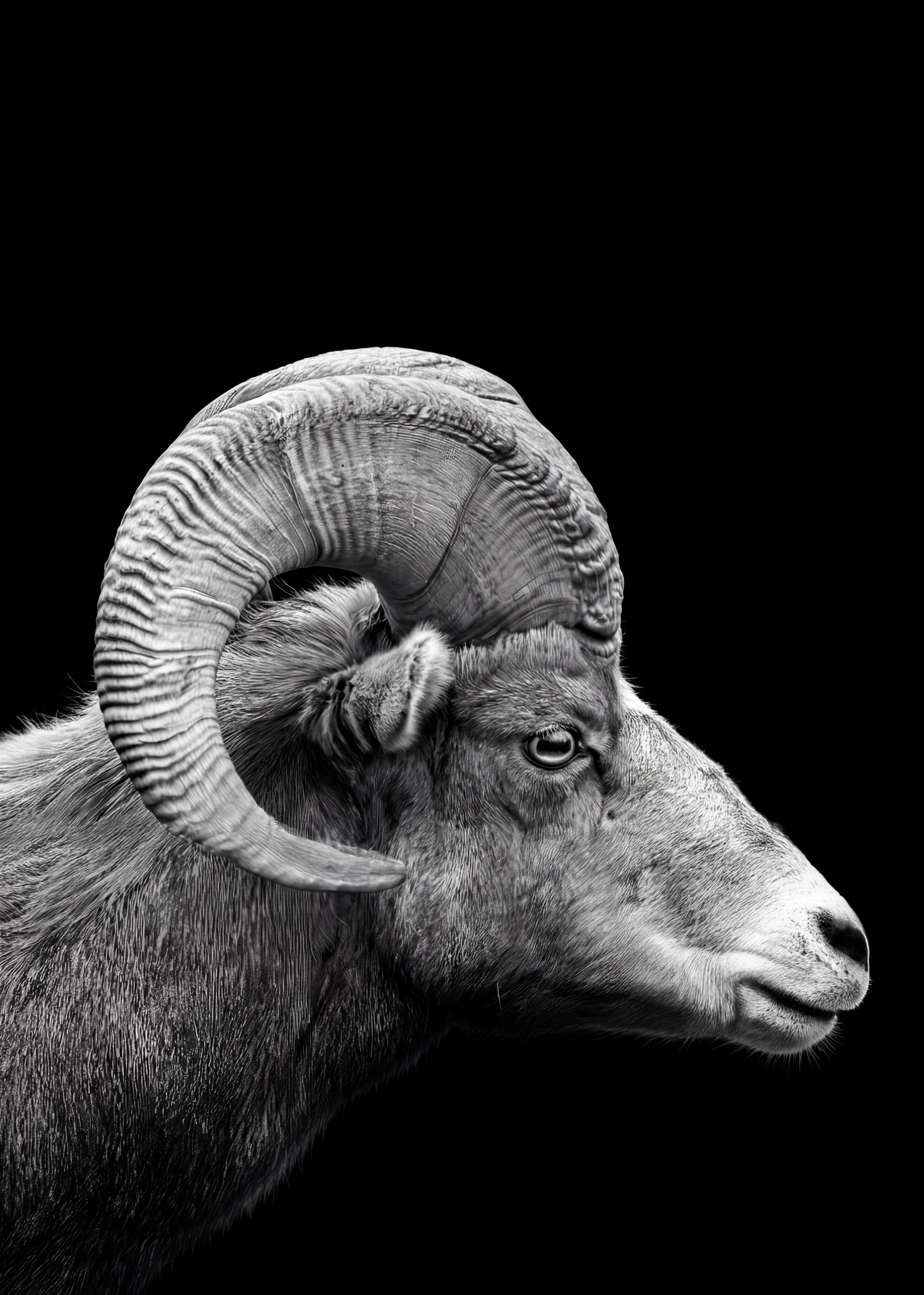 Generated Image March 07, 2026 - 11_59PM.png