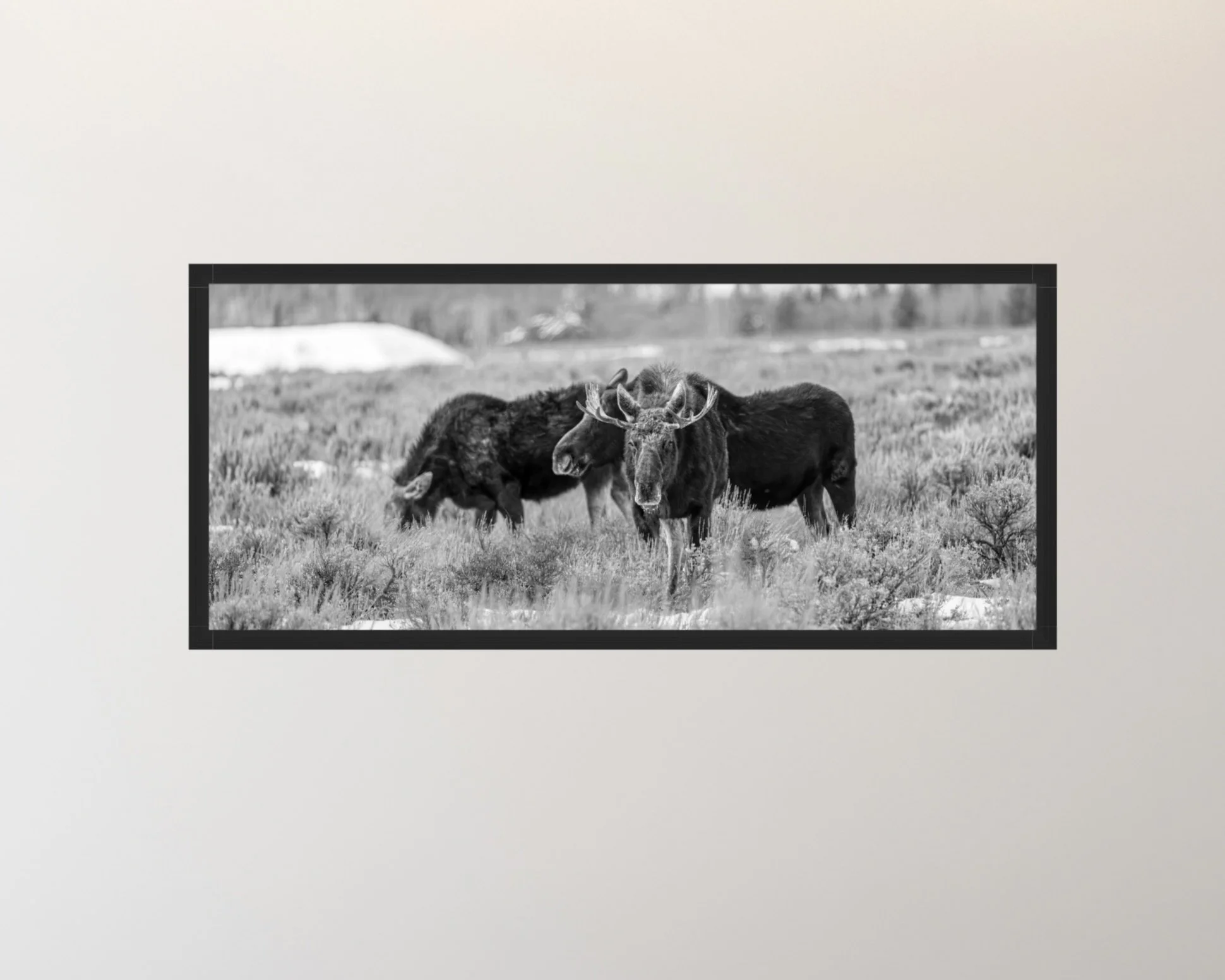 Screenshot 2026-03-27 at 4.53.33 PM.jpeg