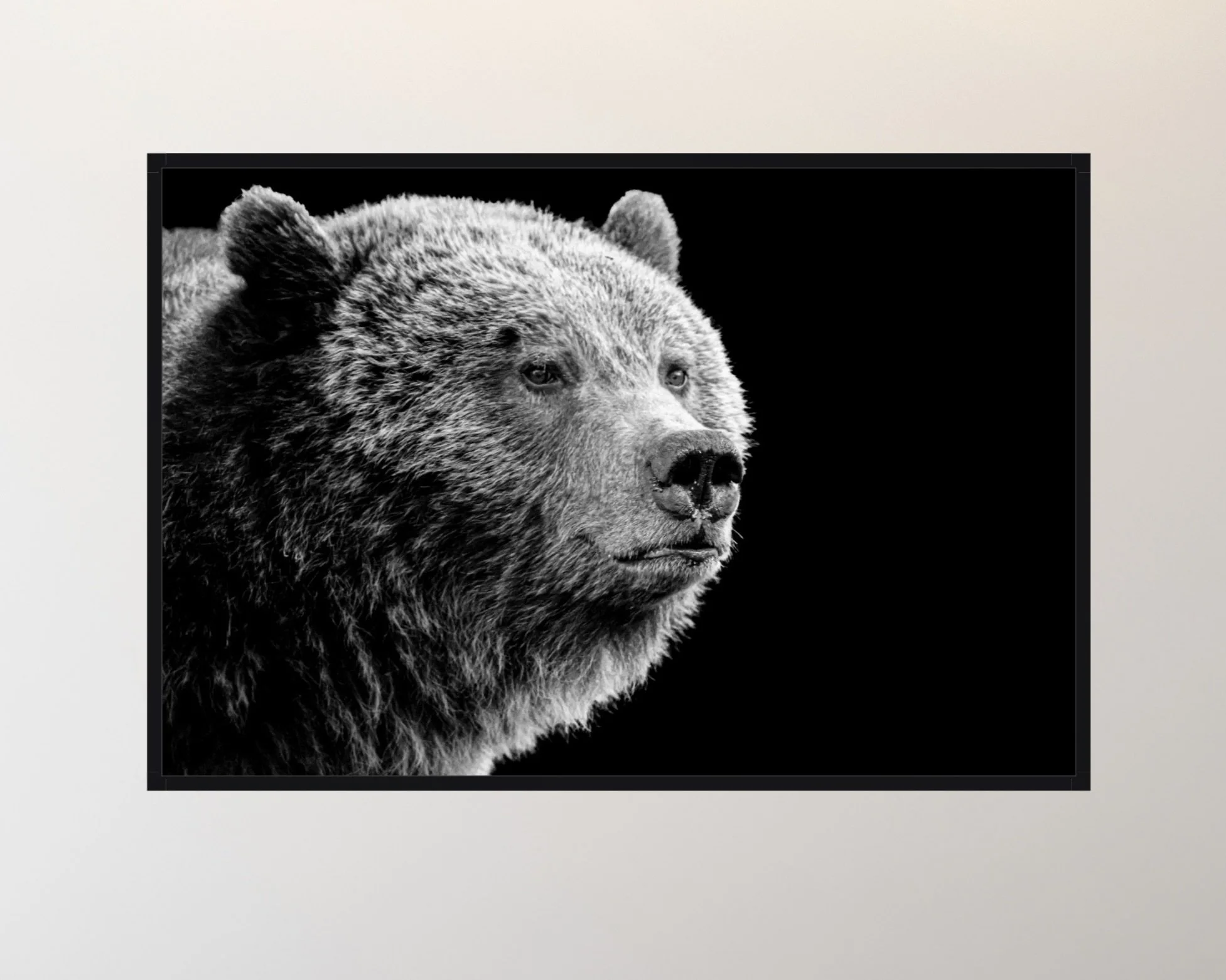 Image 2-27-26 at 7.26 PM.jpeg