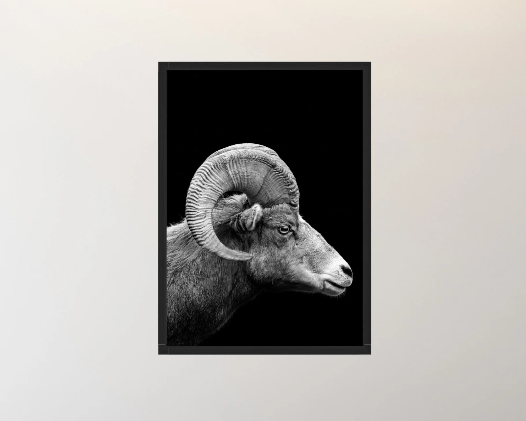 Image 3-27-26 at 6.06 PM.jpeg