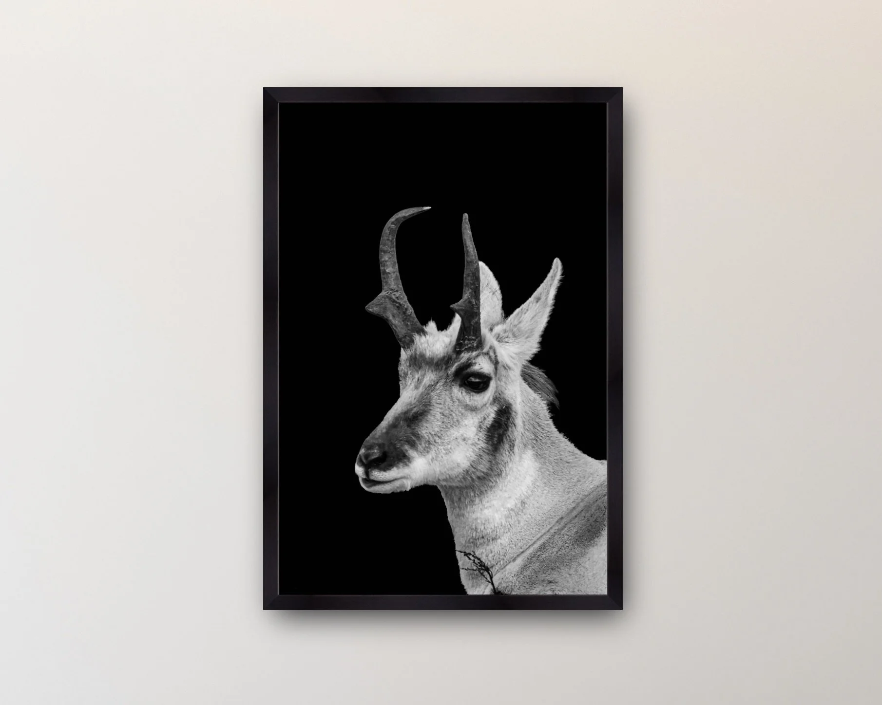 Image 2-15-26 at 4.19 PM.jpeg