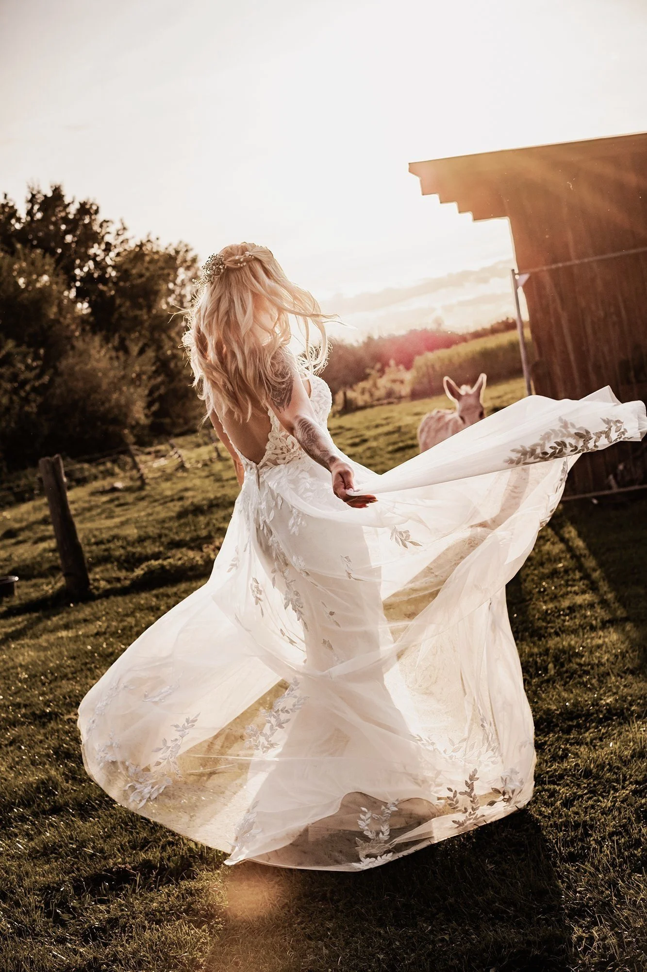 _DSF8969-2 Kopie.jpg