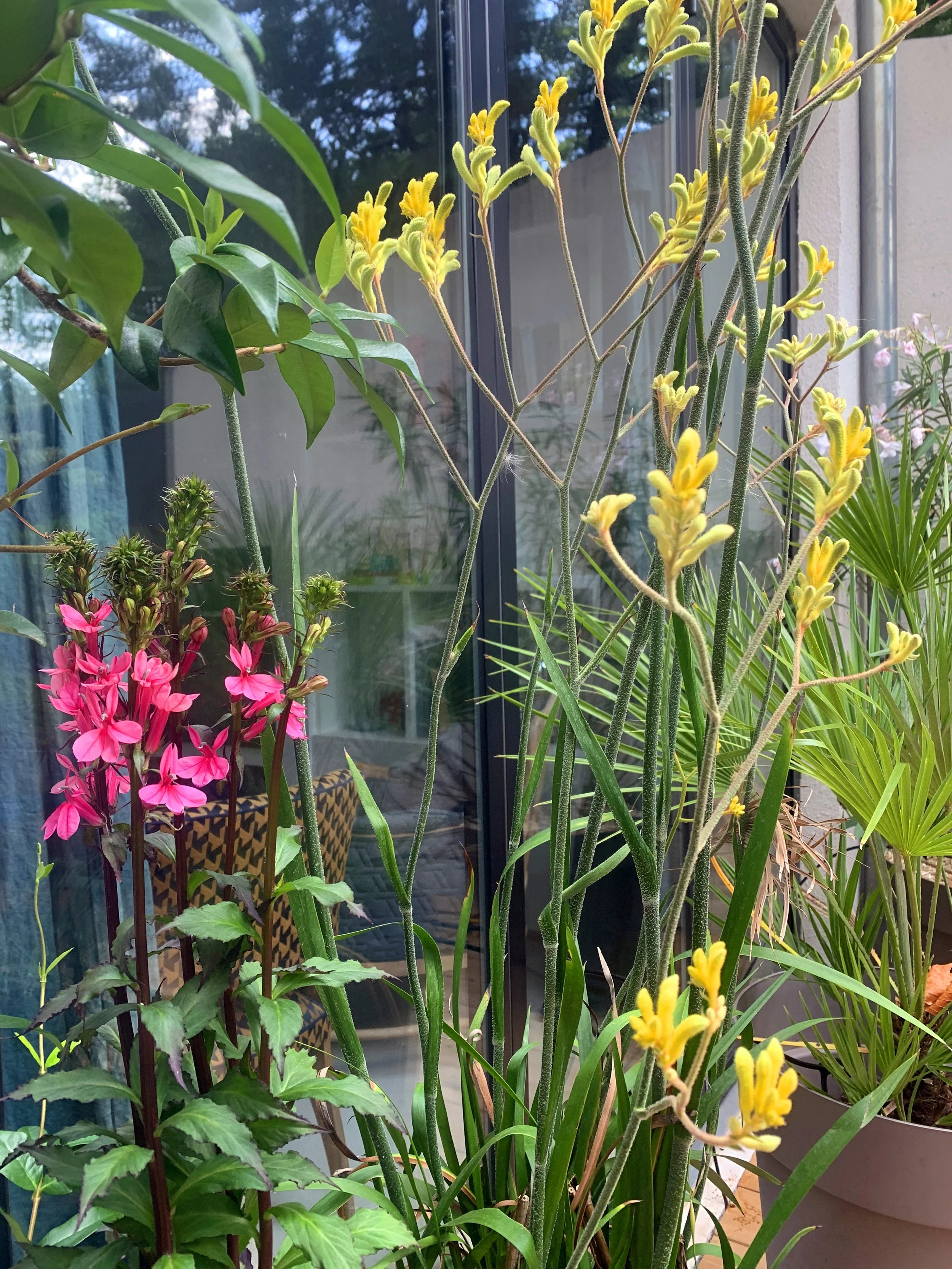 IMG_2913 2 bertrandclem.jpg