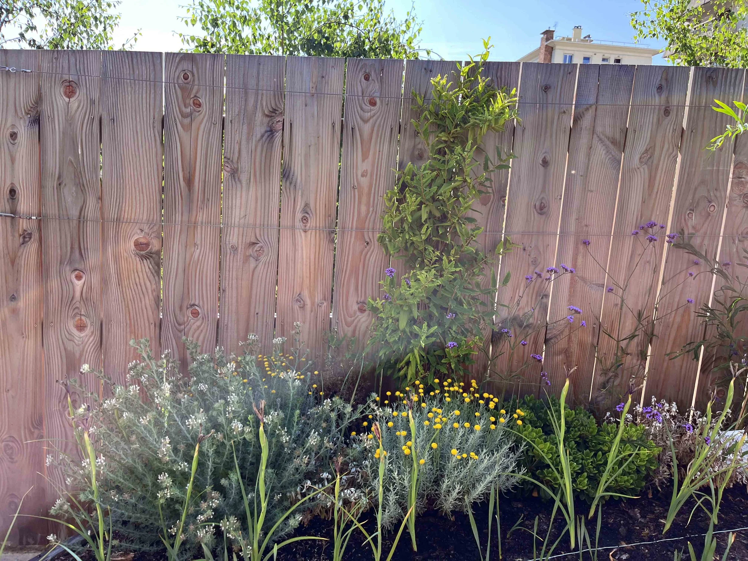 Une image de la maison flottante.