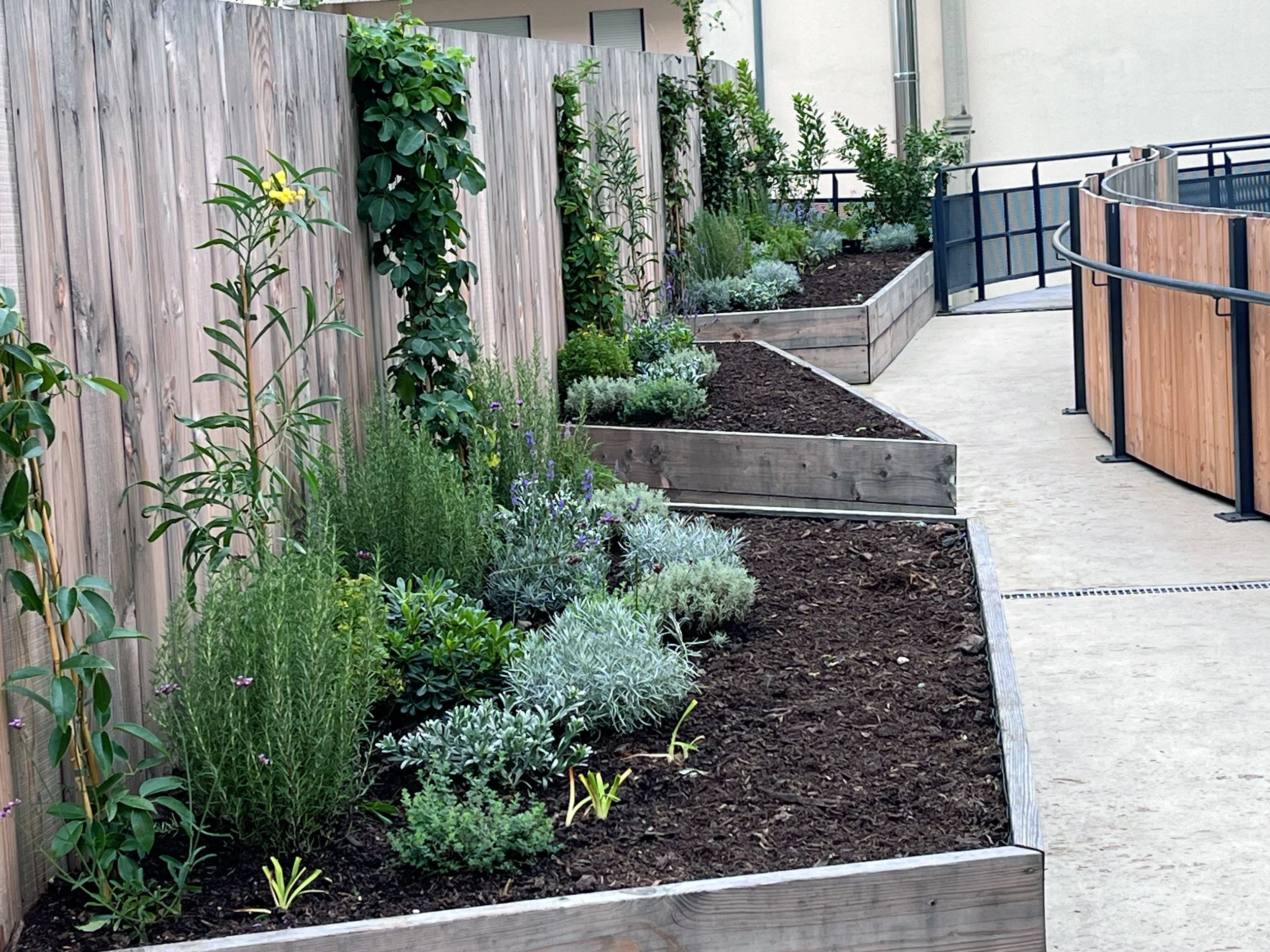 IMG_6651-2 ecole.jpg