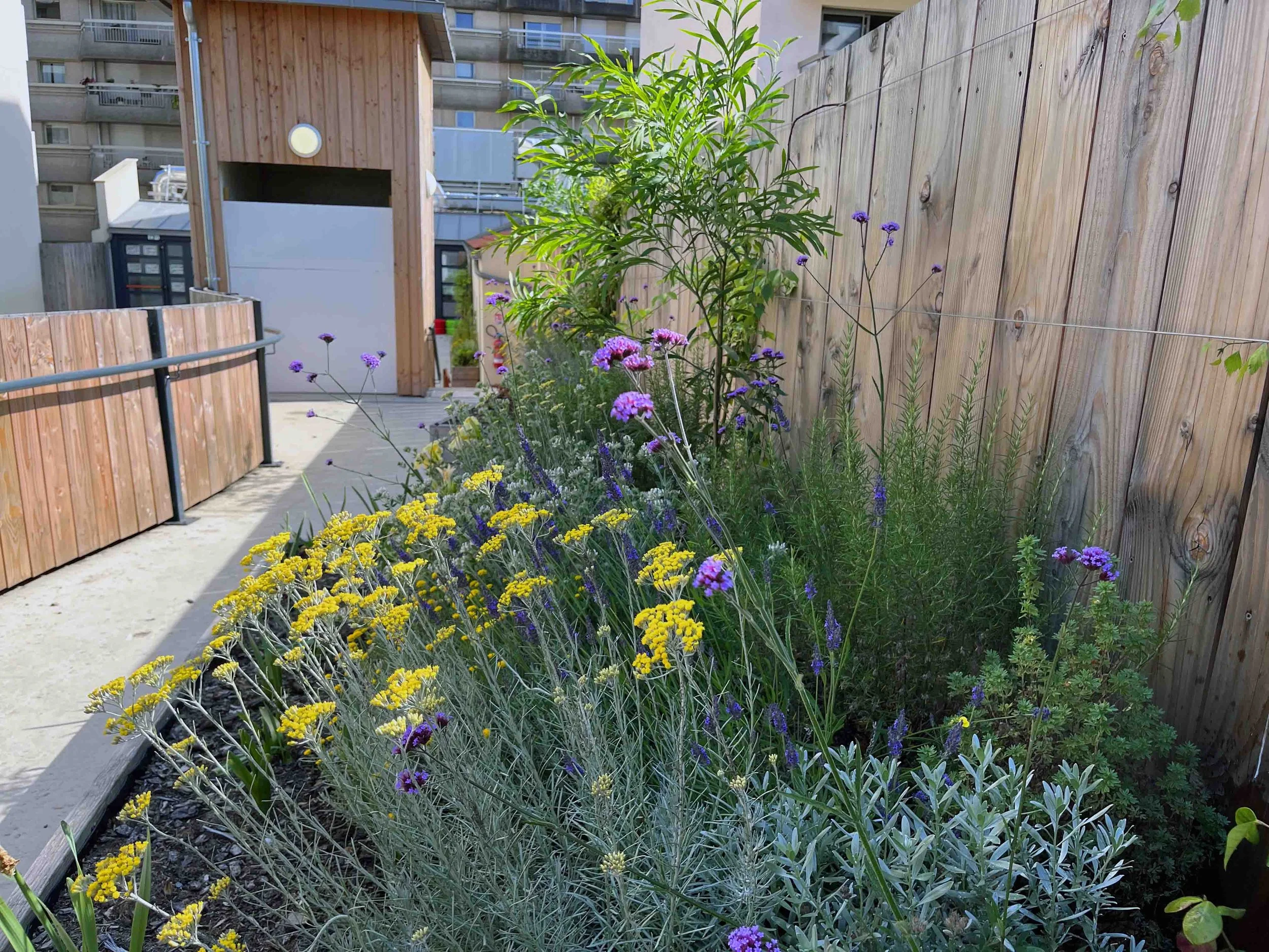 Une image de la maison flottante.