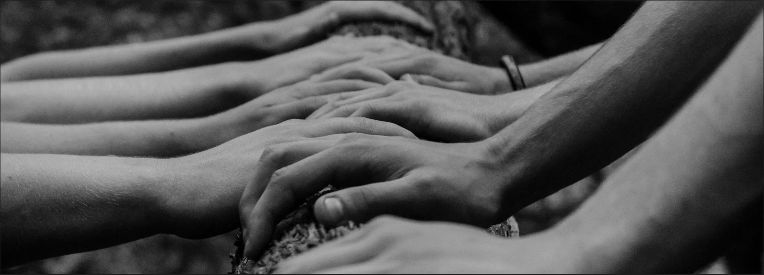 Close-up of hands touching, black and white photograph of multiple hands reaching and holding each other.