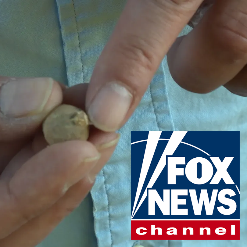 News: Archaeological dig at Battle of Bunker Hill site uncovers Revolutionary War artifacts