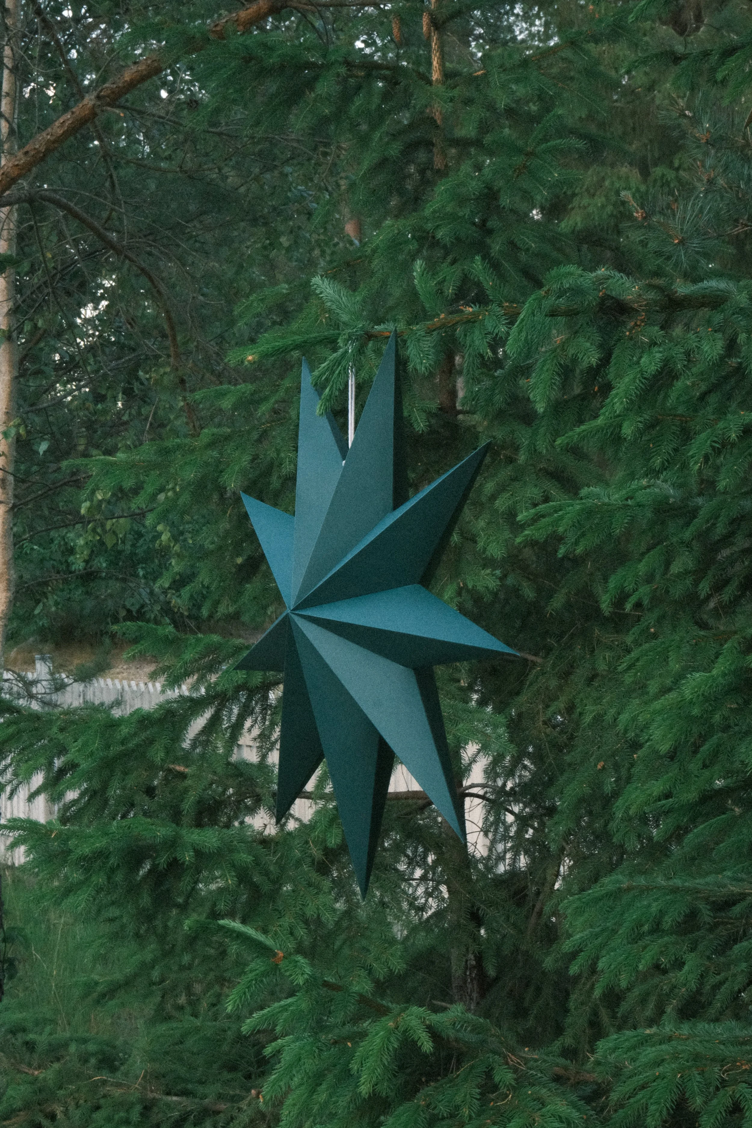 A dark blue, 3D geometric star-shaped decoration hanging among green pine tree branches.