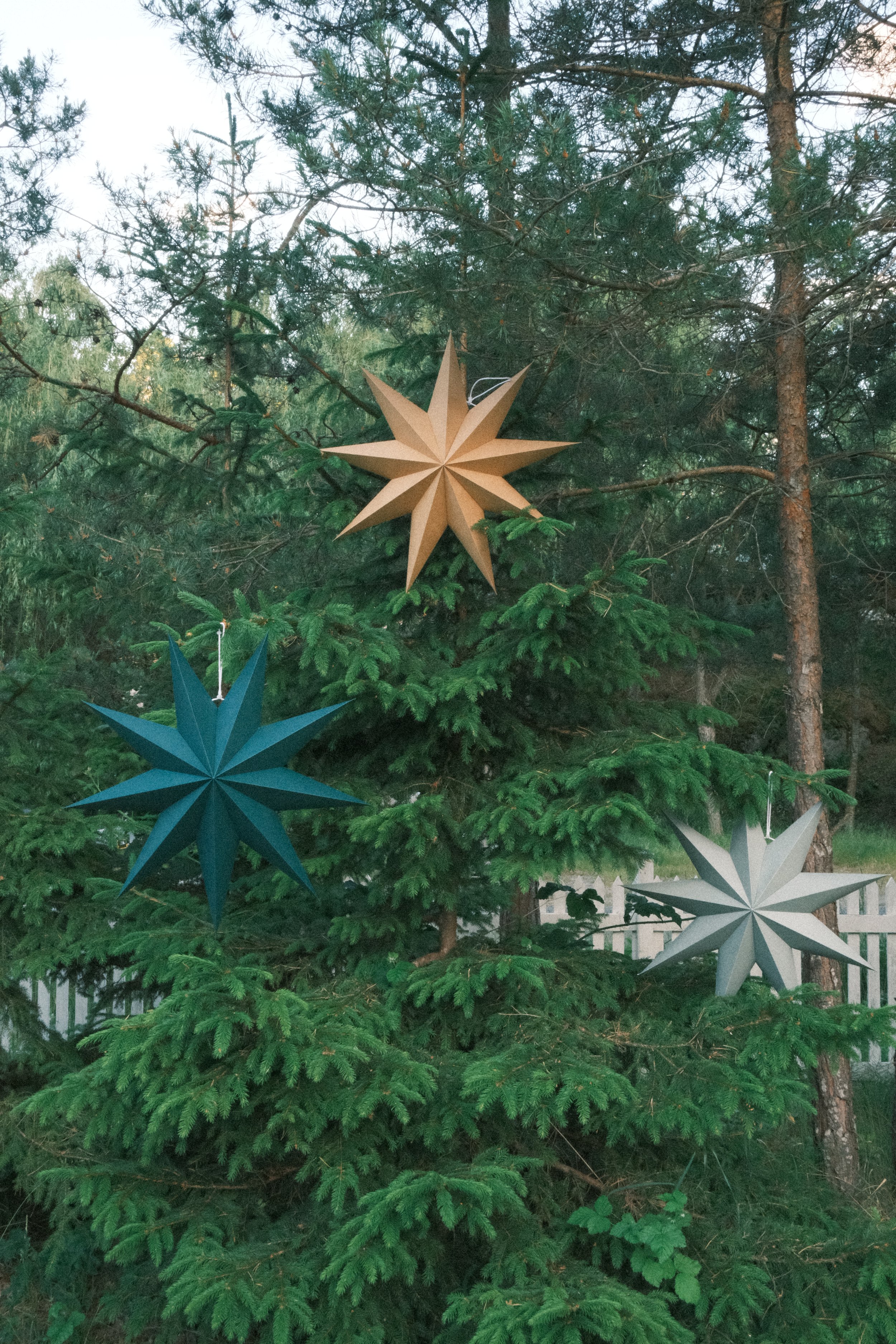 Decorative star-shaped ornaments hanging on a pine tree outdoors