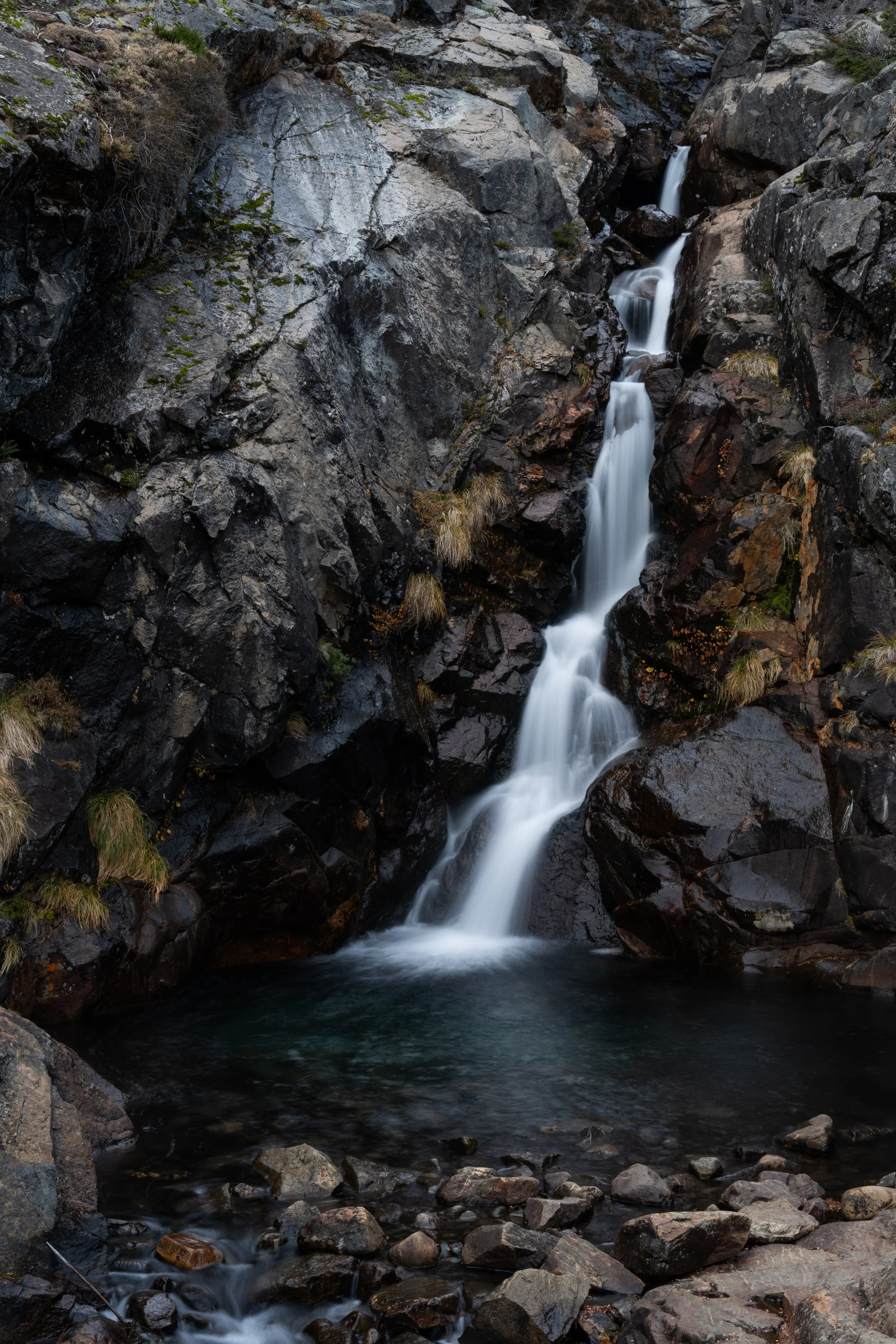 Parque Nacional Nahuel Huapi, Bariloche, AR 2026