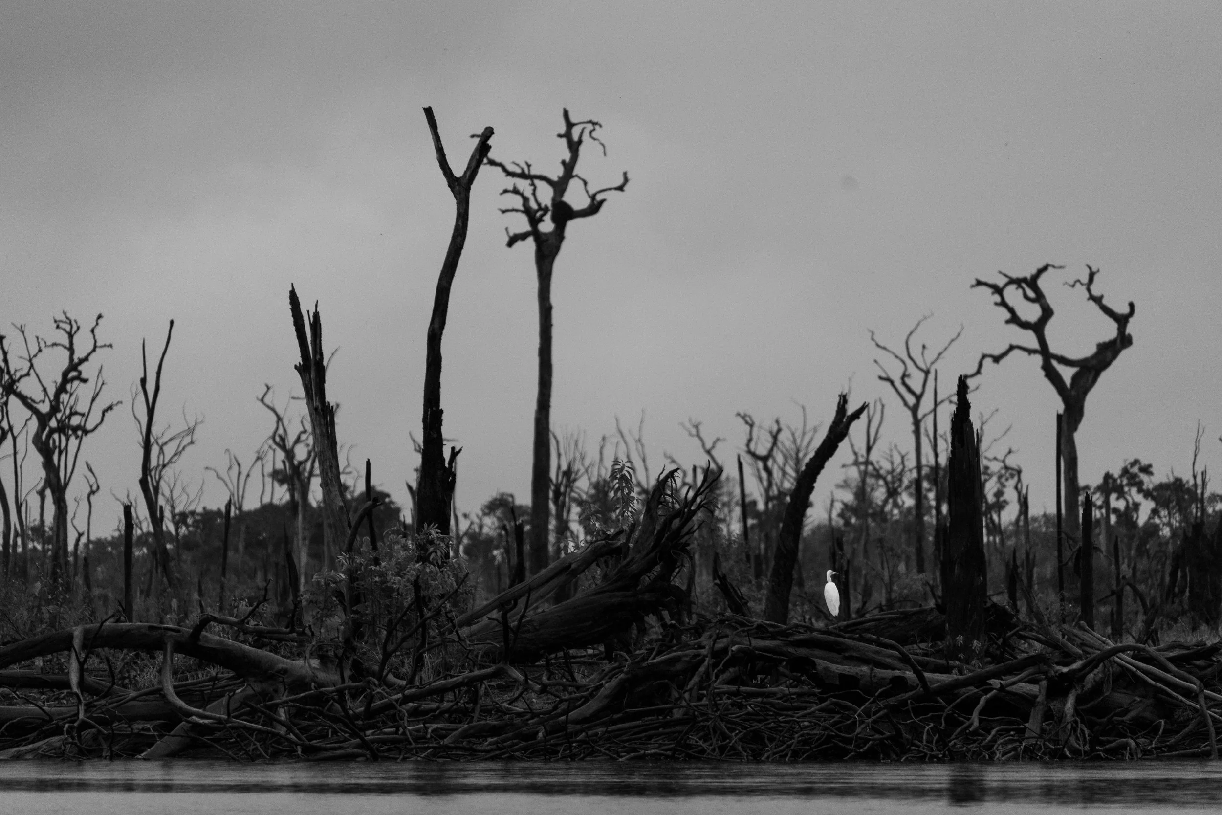 Rio Araçá, Barcelos, AM, Brasil 2026