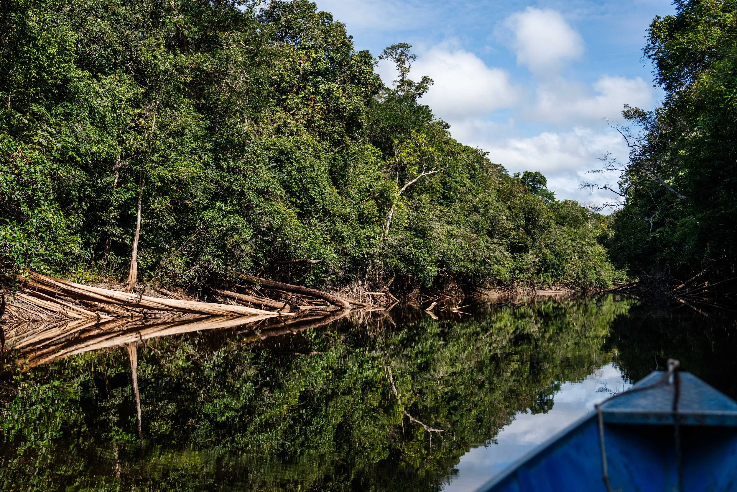 Igarapé no Alto Rio Negro, AM, Brasil 2026