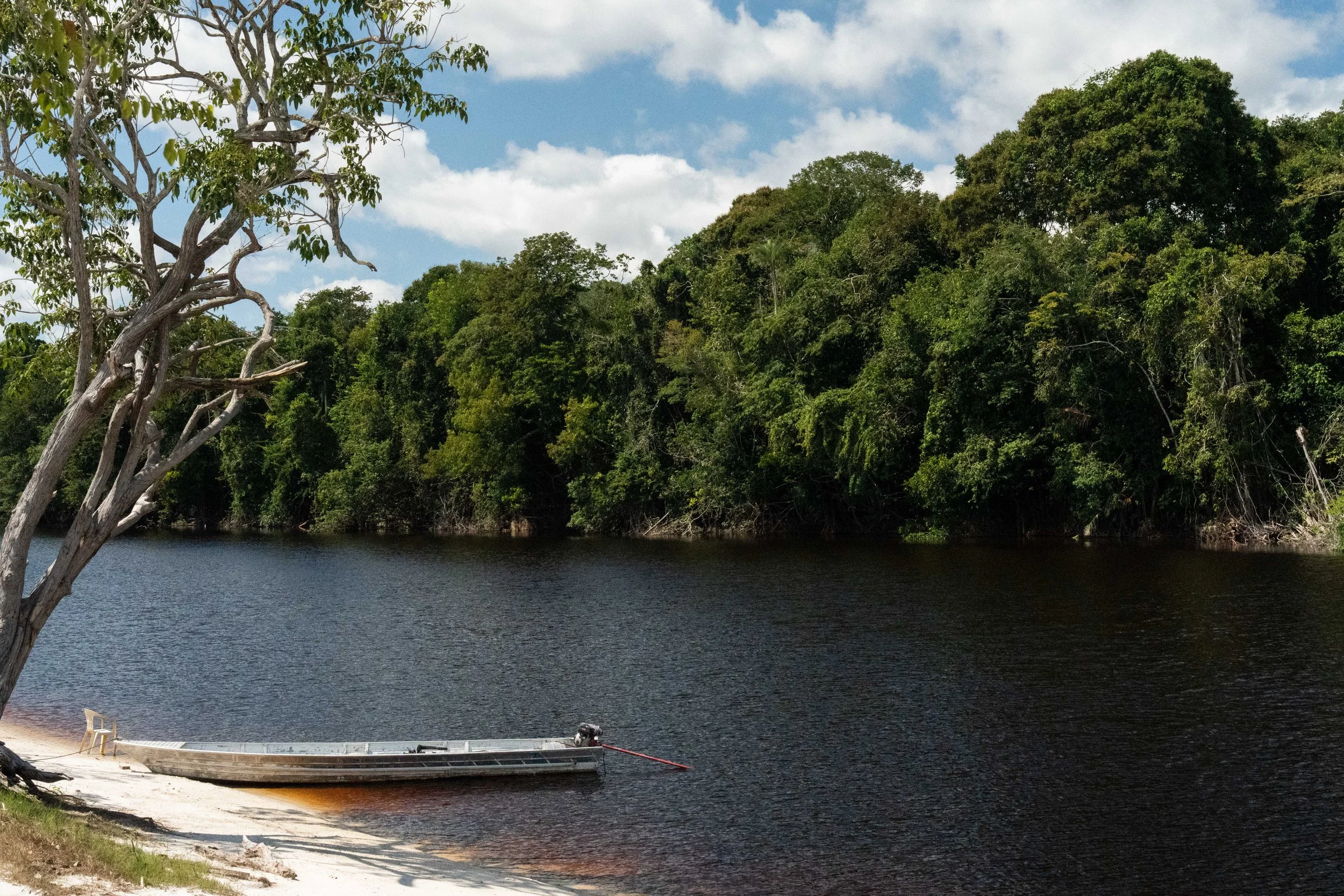 Médio Rio Negro, Barcelos, AM, Brasil 2026