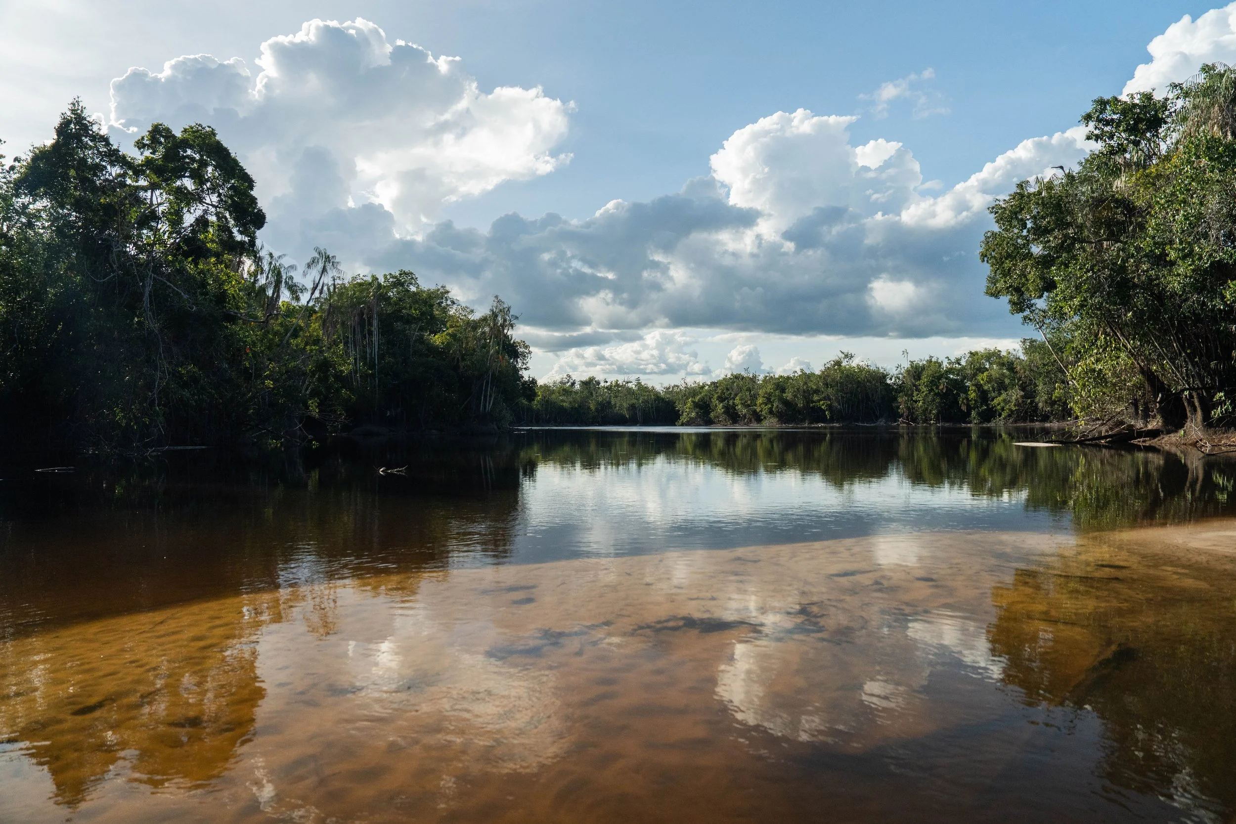 Rio Araçá, Barcelos, AM, Brasil 2026