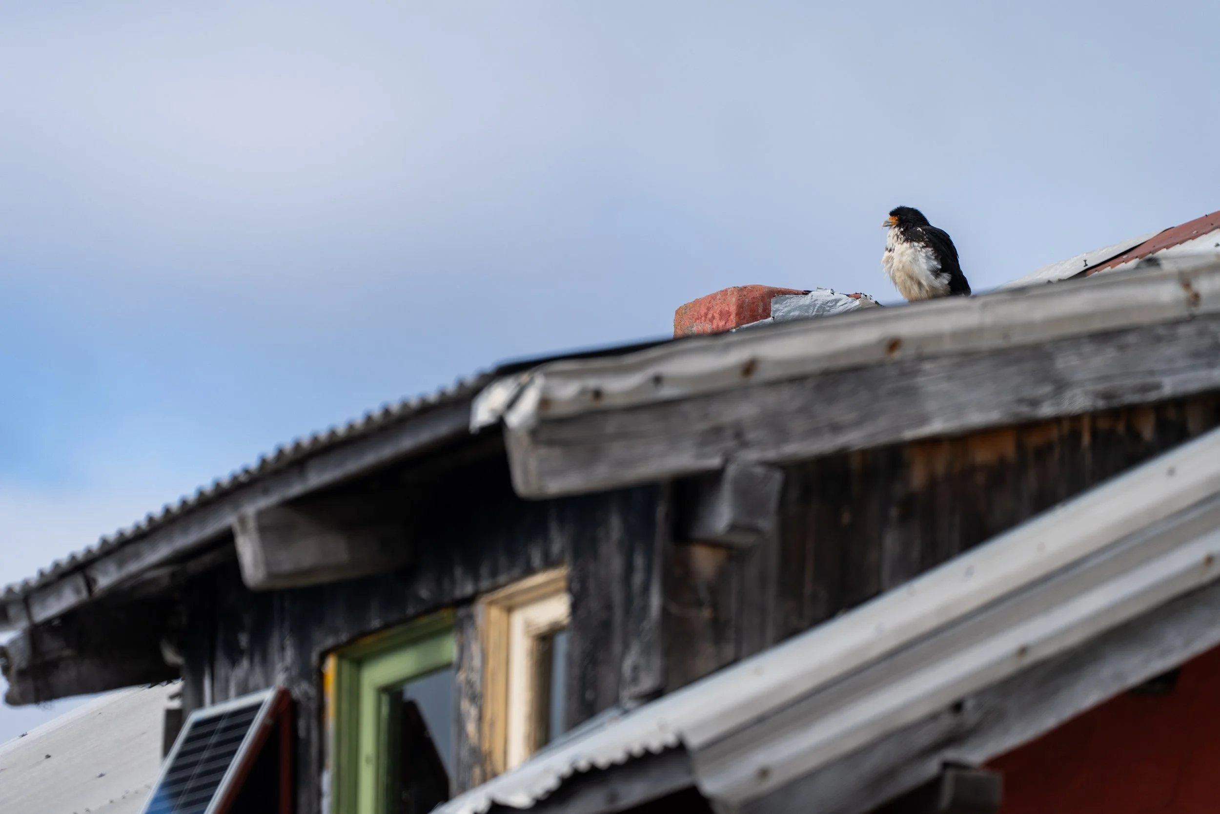 Refugio Lopez, Parque Nacional Nahuel Huapi, Bariloche, AR 2026