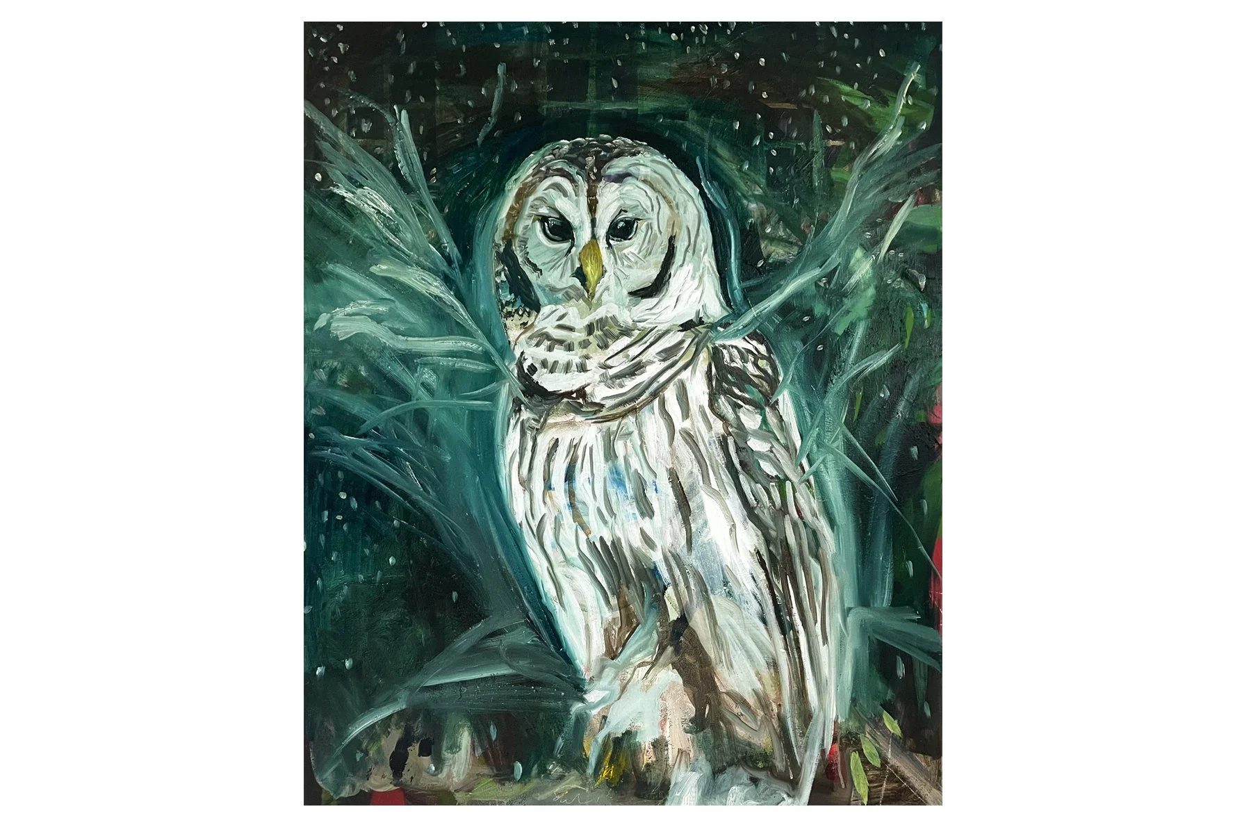 owl1_mianelle.jpg