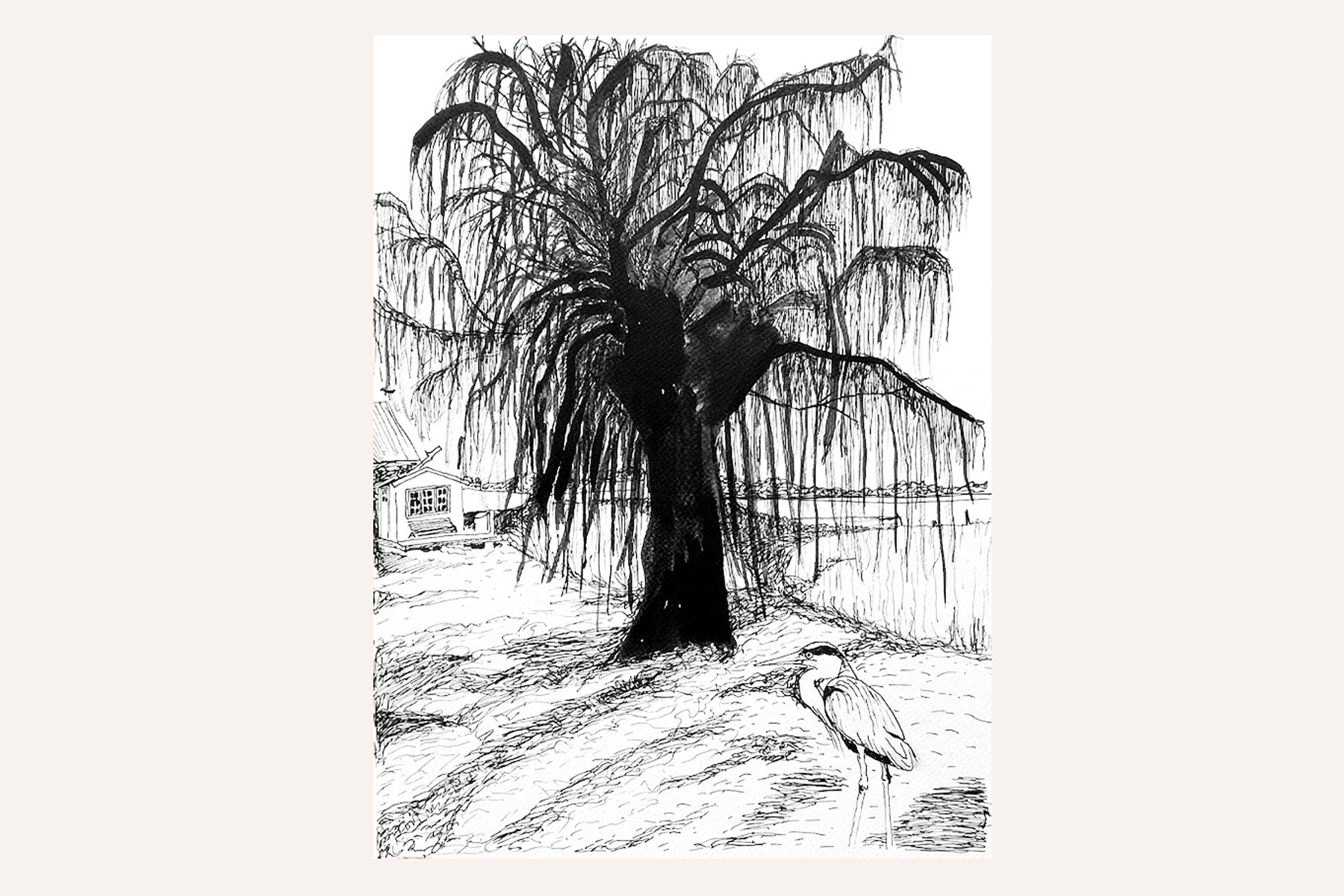 blacktree_2_mianelle.jpg