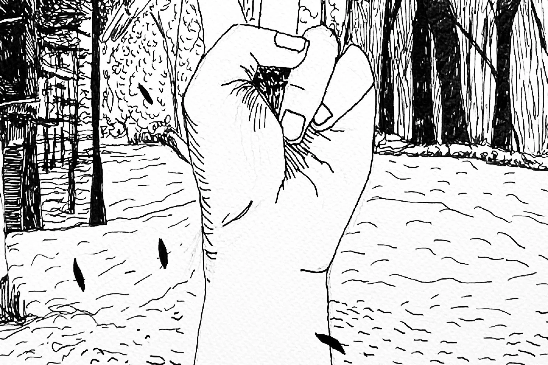 peace_4_mianelle.jpg