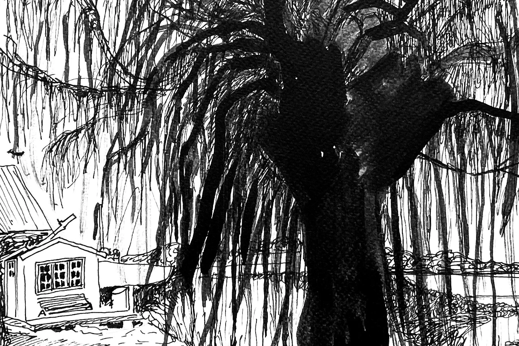 blacktree_4_mianelle.jpg
