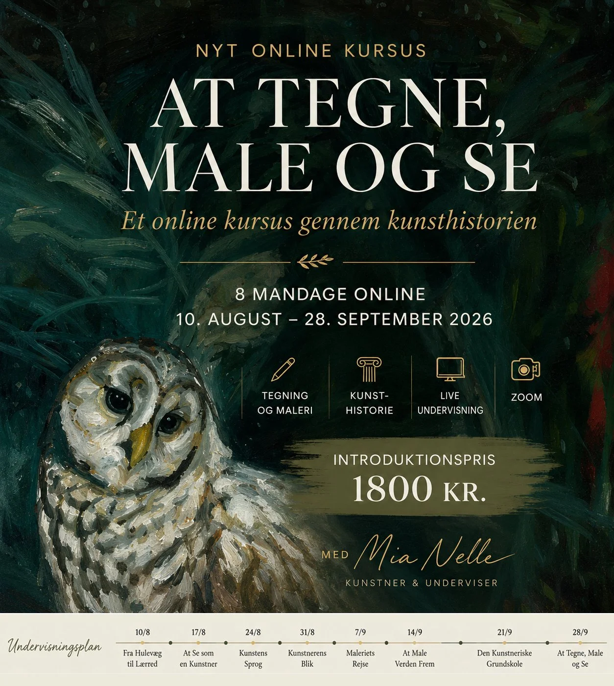 Online workshop på dansk