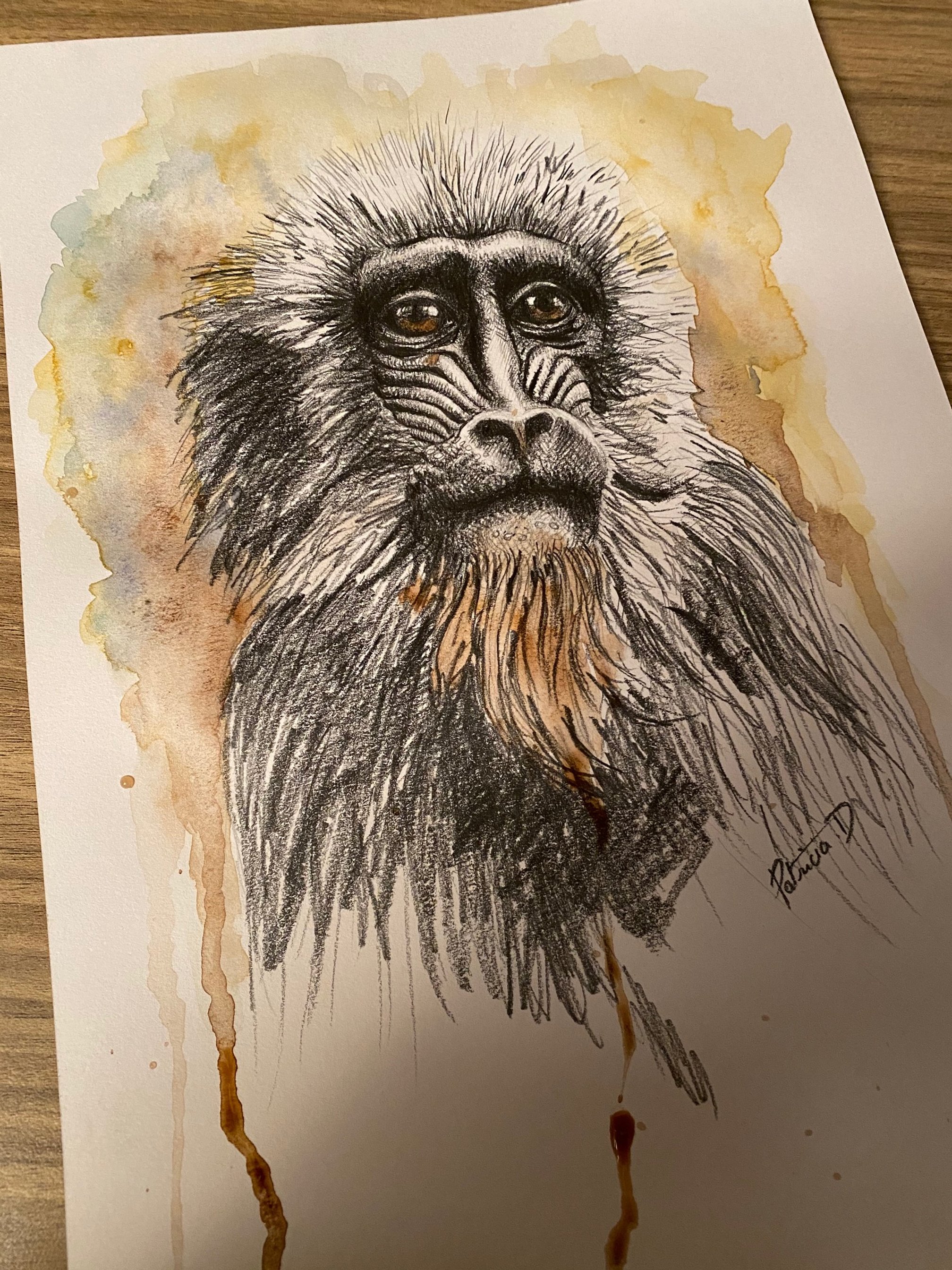 Singe
