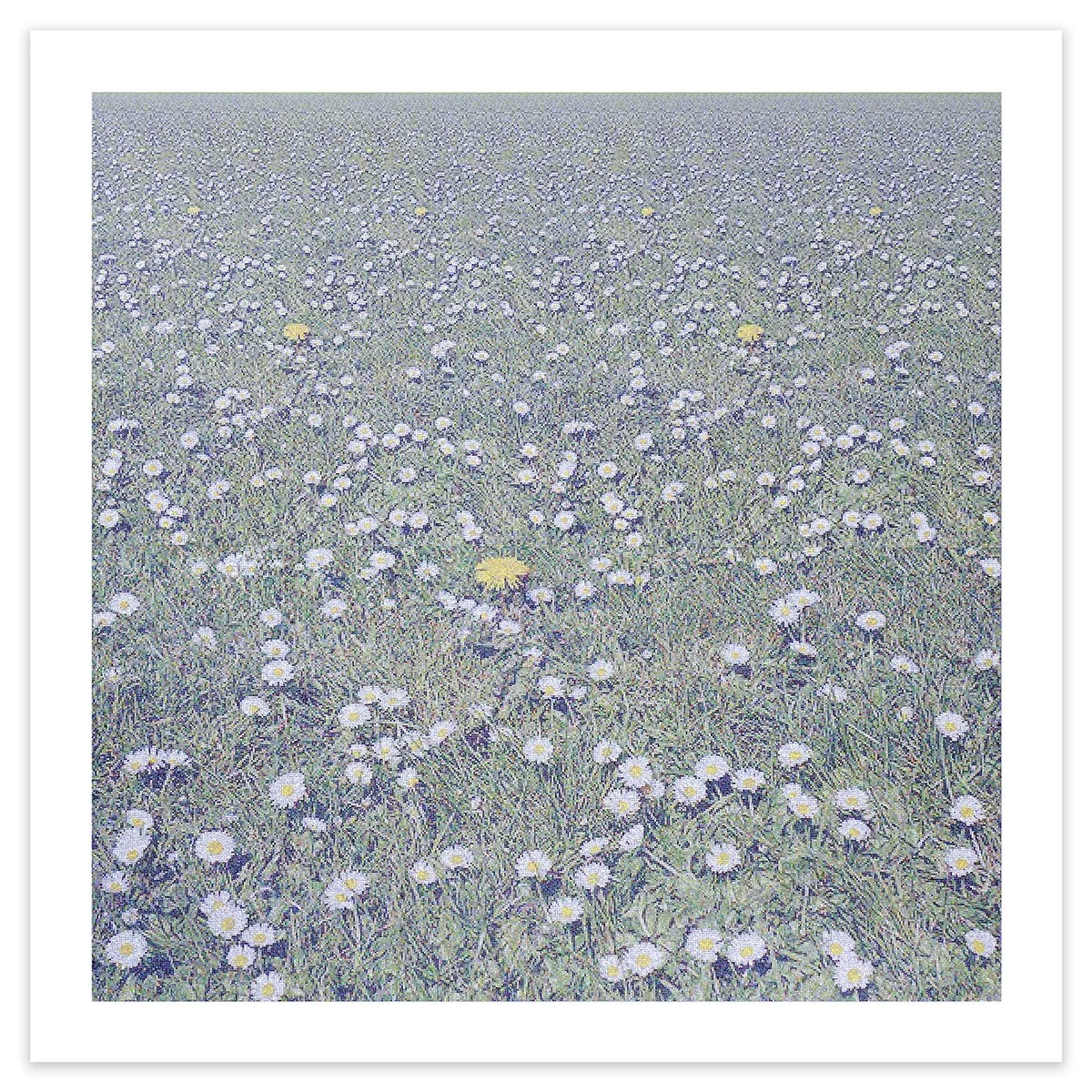 Daisyworld 2.0 product pic.jpg