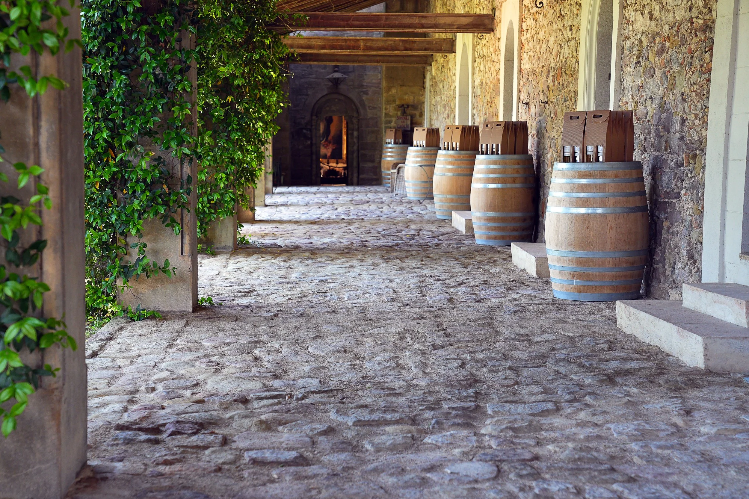 Ein von Steinen gepflasterter Innenhof mit Weinreben an einer linken Seite und mehreren Weinfässern auf der rechten Seite entlang einer Steinmauer.