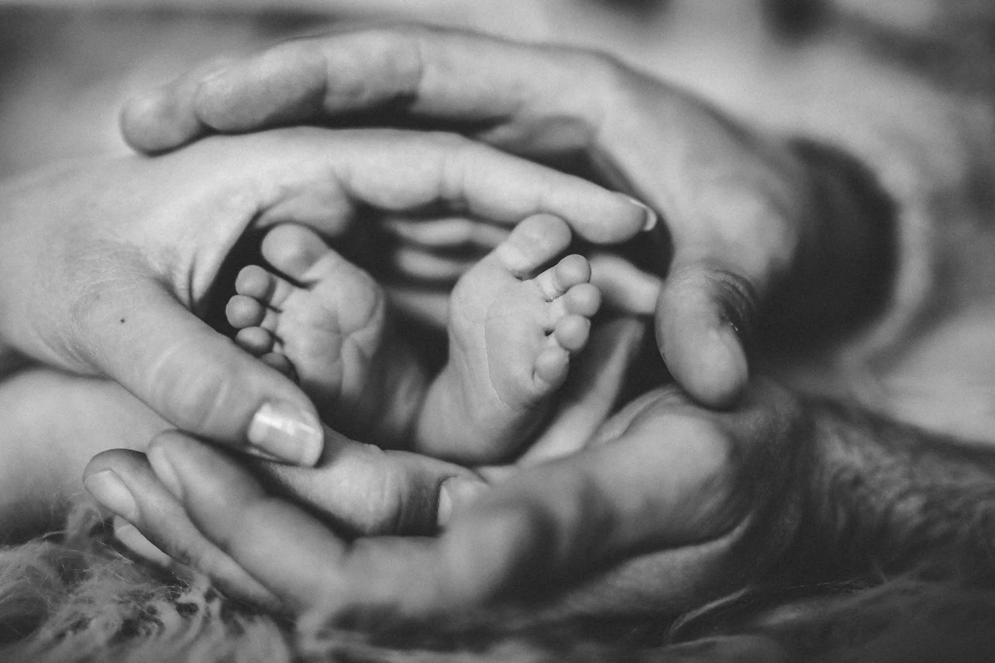 WhatsApp Image 2026-03-01 at 10.02.20-2.jpeg