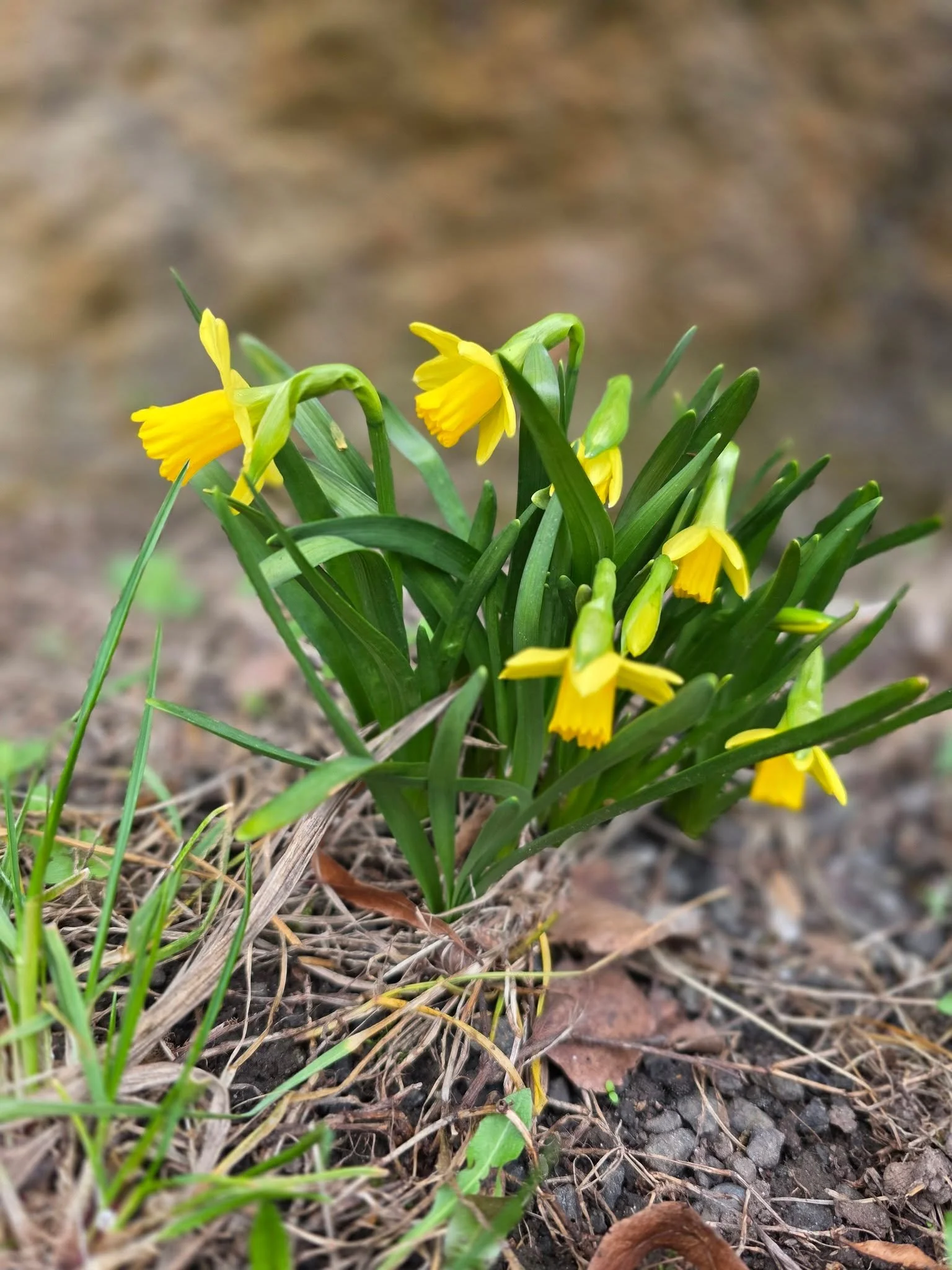 Ahojky lidicky. Tak slunko zacina svitit. Sezona se nam zacina blizit. My makame na ociste kuchyne a vseho okolo aby vse bylo na vybornou. Od 2.4. od 17 hod zaciname a hned mame pro vas zelene pivko a samozrejme neco na zub. Budeme se na vas tesit. Z