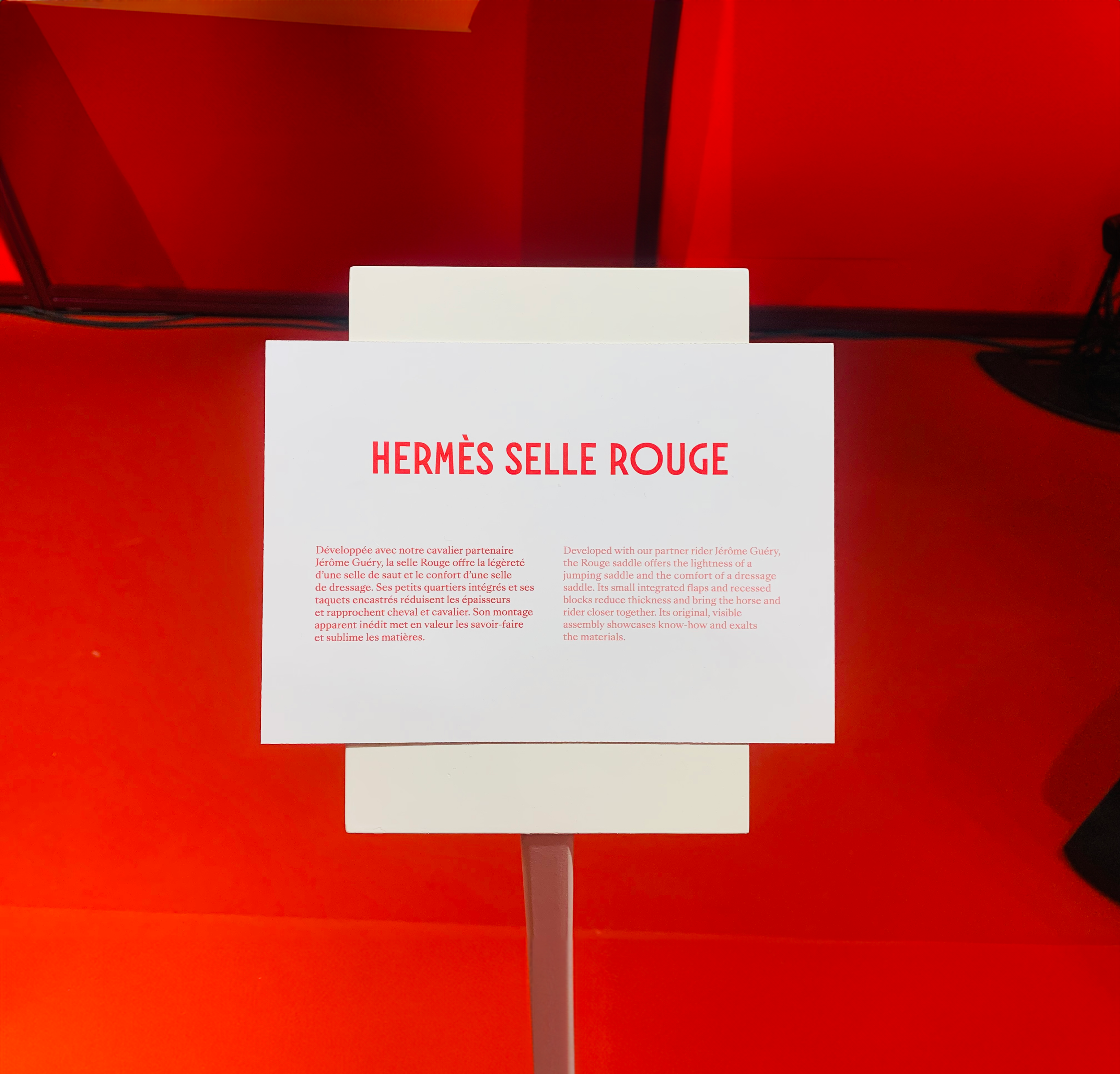 IMG_5513_Original 2.png