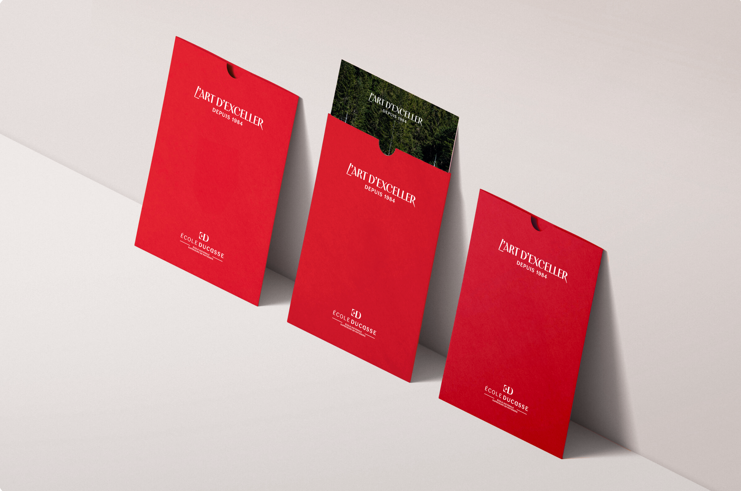 Trois supports d'information rouges pour l'École Ducasse, affichés contre un mur blanc, dont un avec une brochure ou un document partiellement sorti.