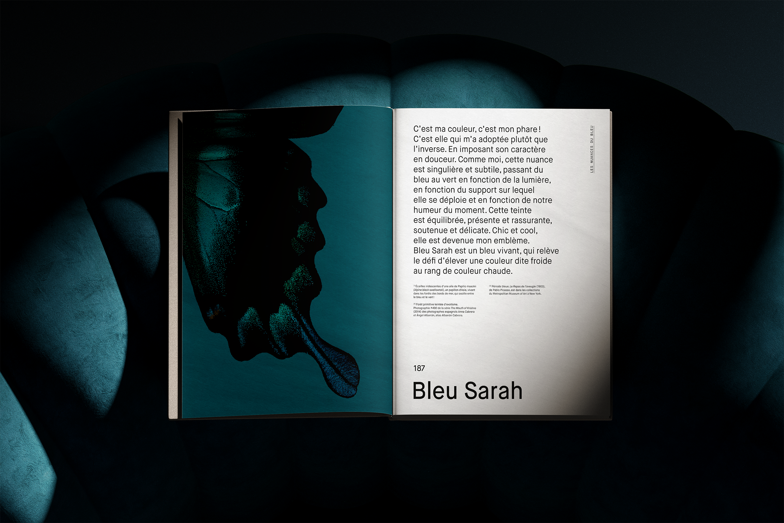 book-Sarah_Lavoine_Couleurs_Sarah_Edition_Chene_1.png