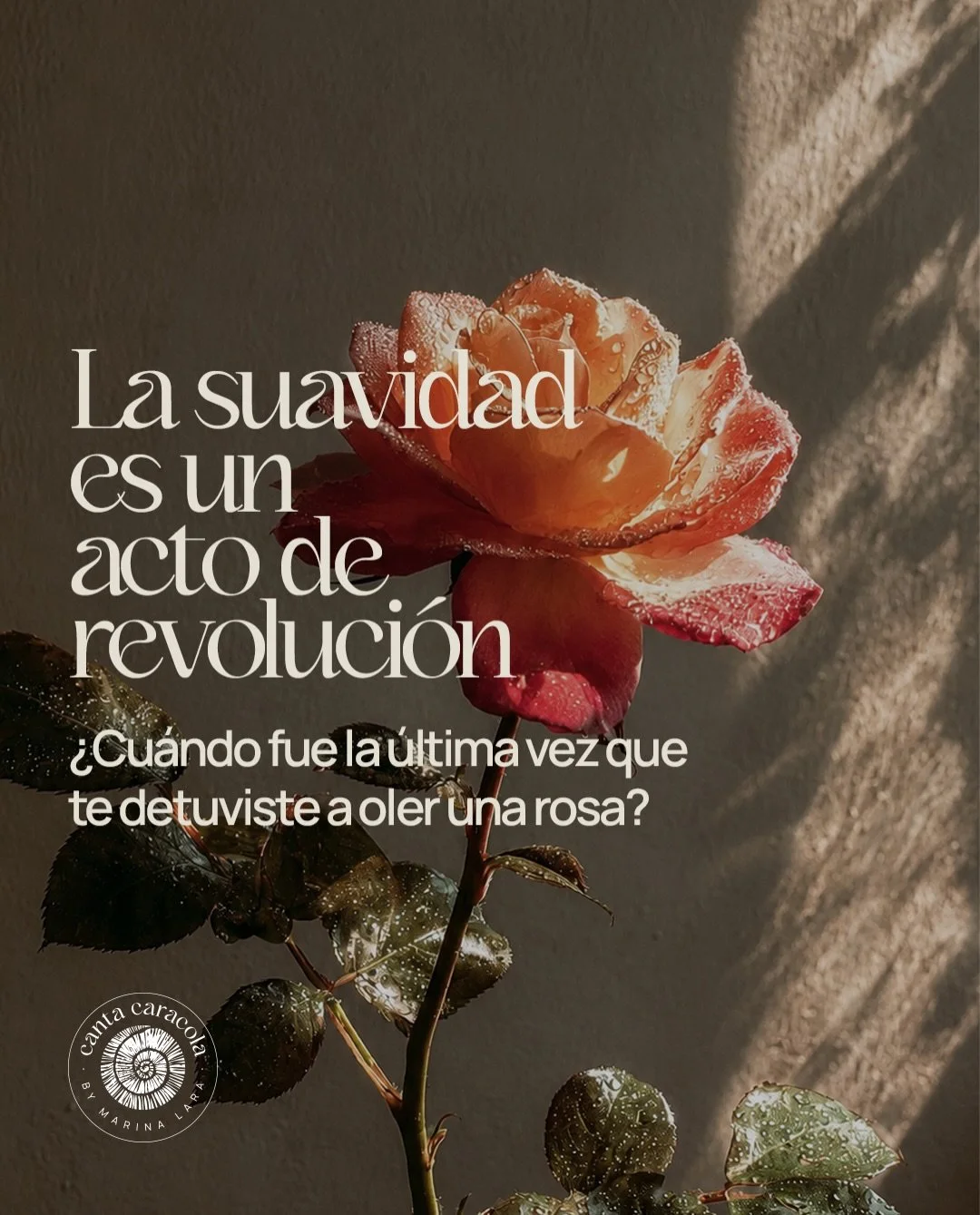 La suavidad es un acto revoluci&oacute;n que vive en las cosas sencillas🌹

No necesitamos grandes acciones para practicar nuestra suavidad:
 
🌱A veces, la suavidad comienza cuando bajas la velocidad o la intensidad de aquello que normalmente haces 