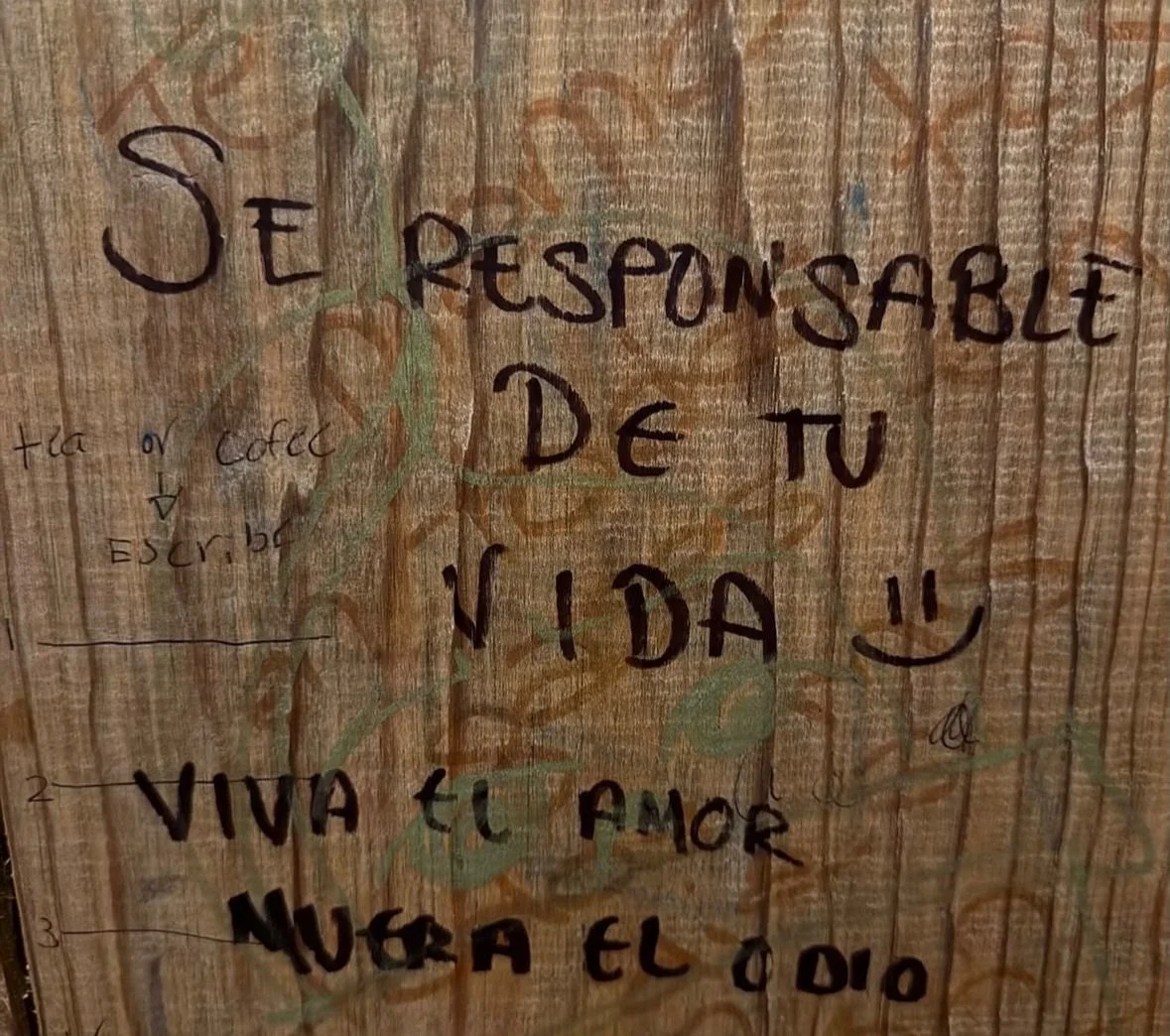 La responsabilidad de tu vida, no le corresponde a nadie m&aacute;s que a ti mismo.

Y aunque suene evidente, pasa que a veces se nos olvida.
 
Y se nos olvida que es incre&iacute;blemente revolucionario ser responsable.

En un mundo lleno de odio, g